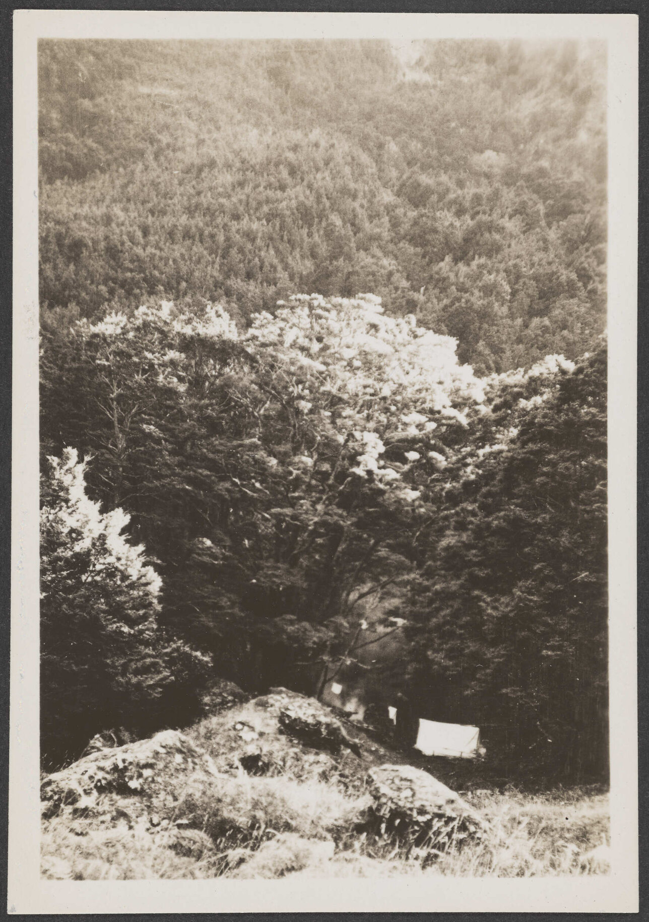 'Camp in Albert Burn'