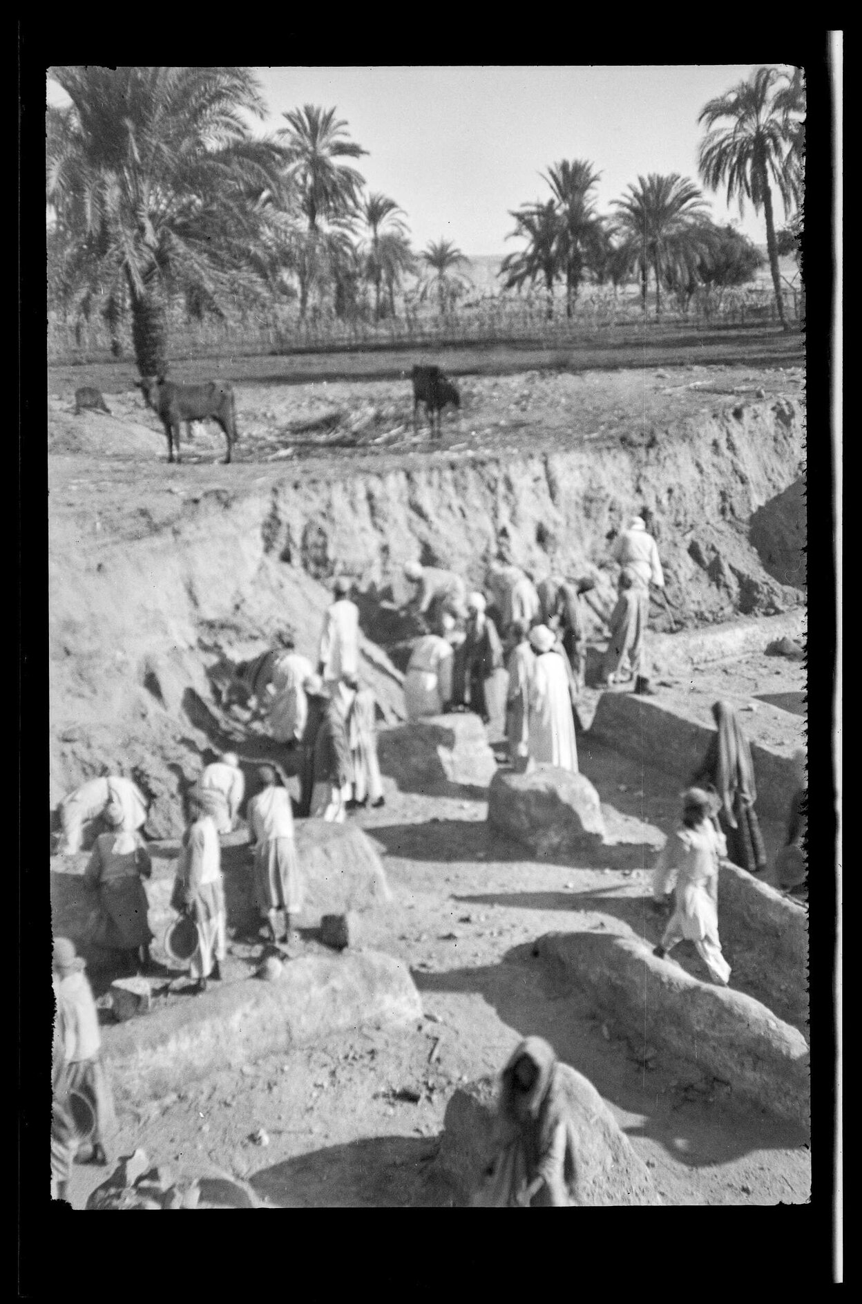 People excavating a deep area of palace archaeological site