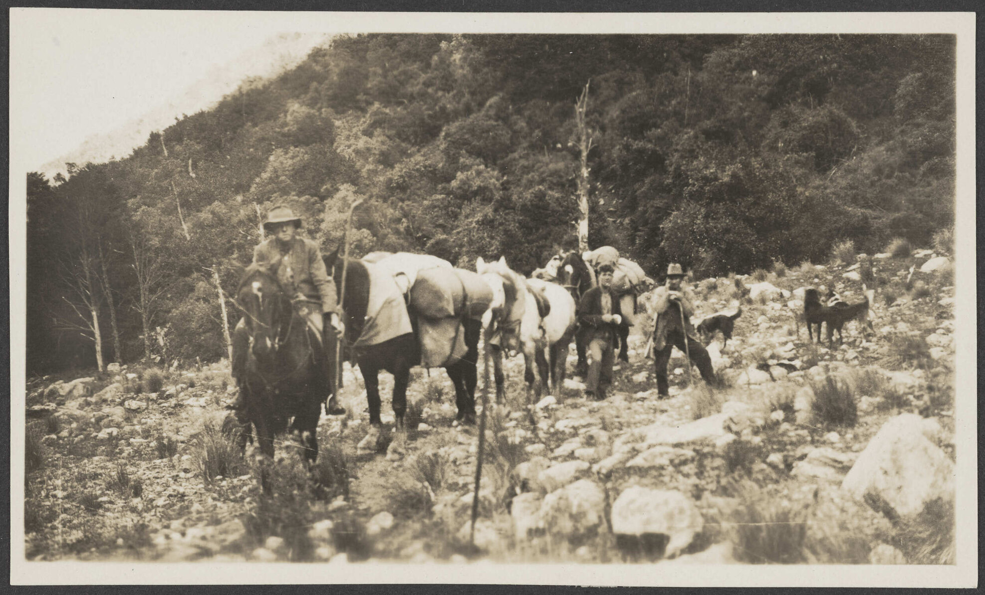Men with packhorses