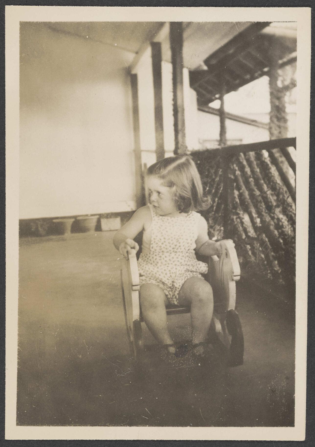 Penny Stamers-Smith