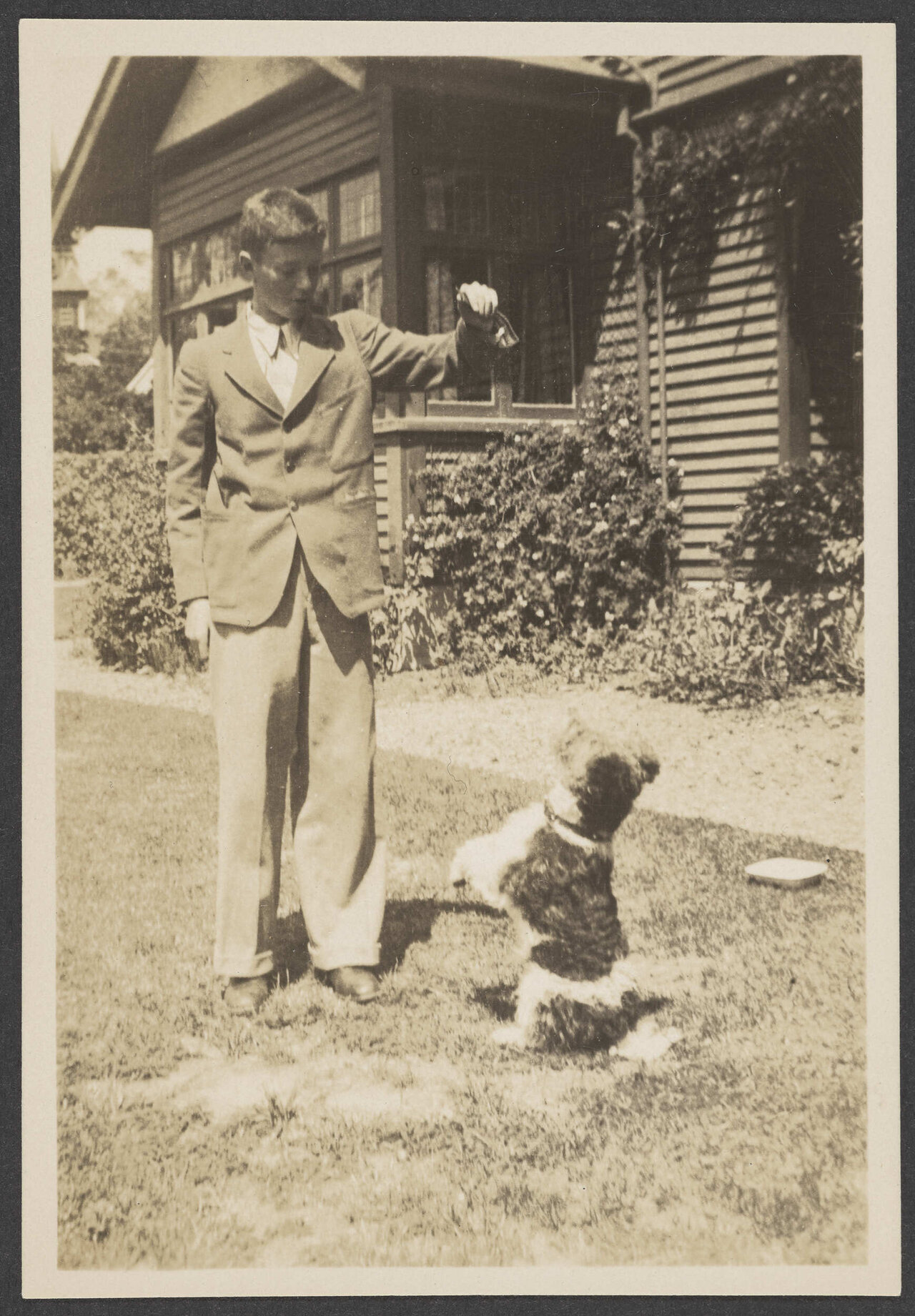 Young man playing with a dog