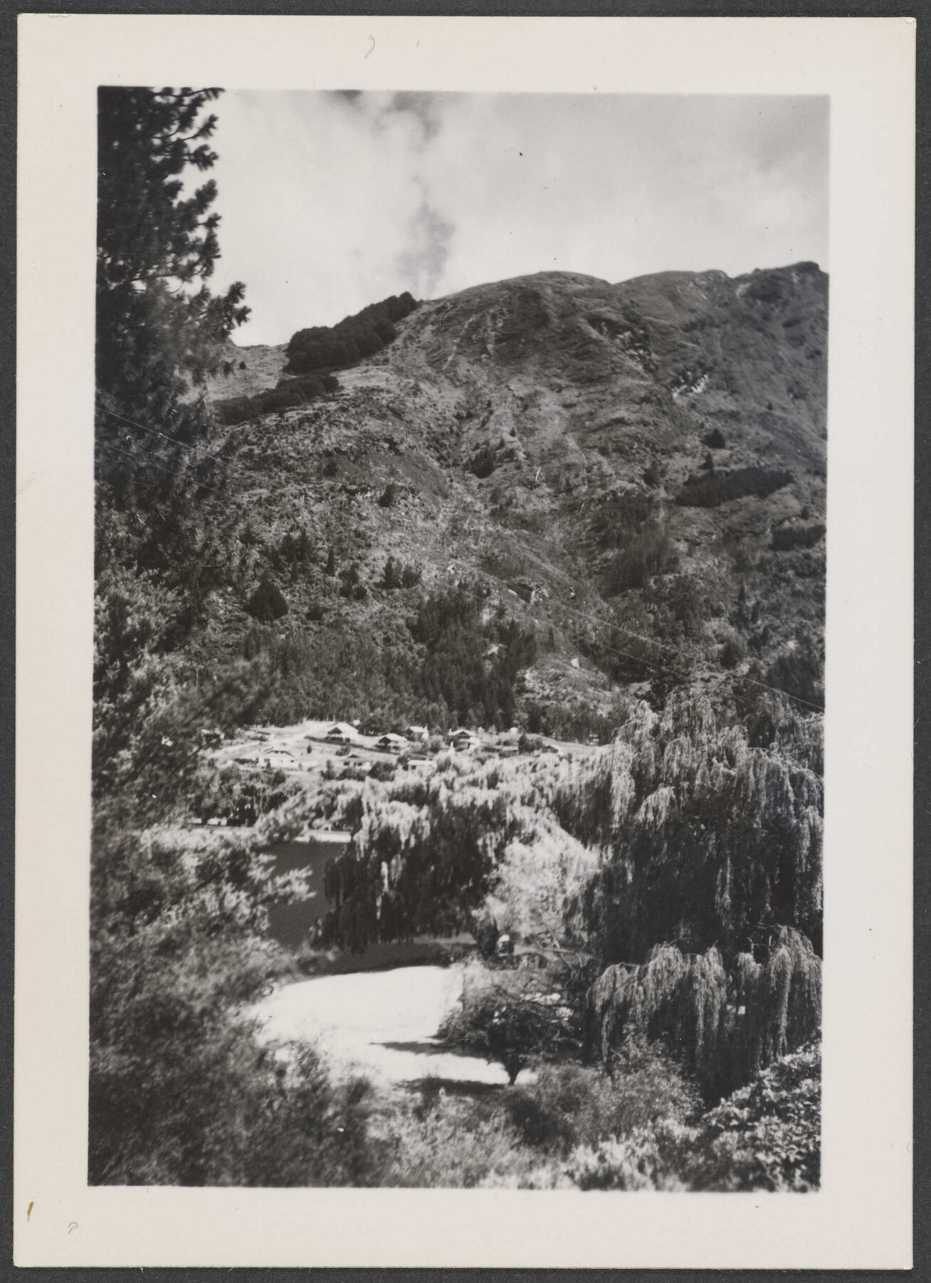 Mt Bowen from Gardens