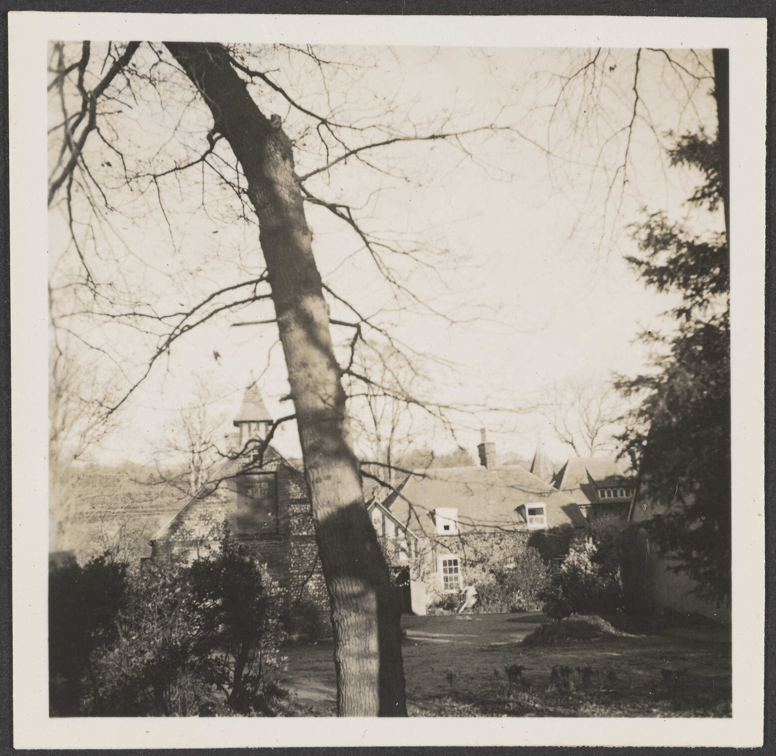 Building behind a tree
