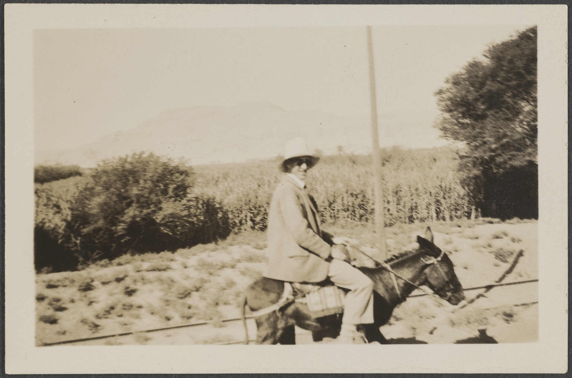 'Luxor, the West Bank (Sherman fecit)'