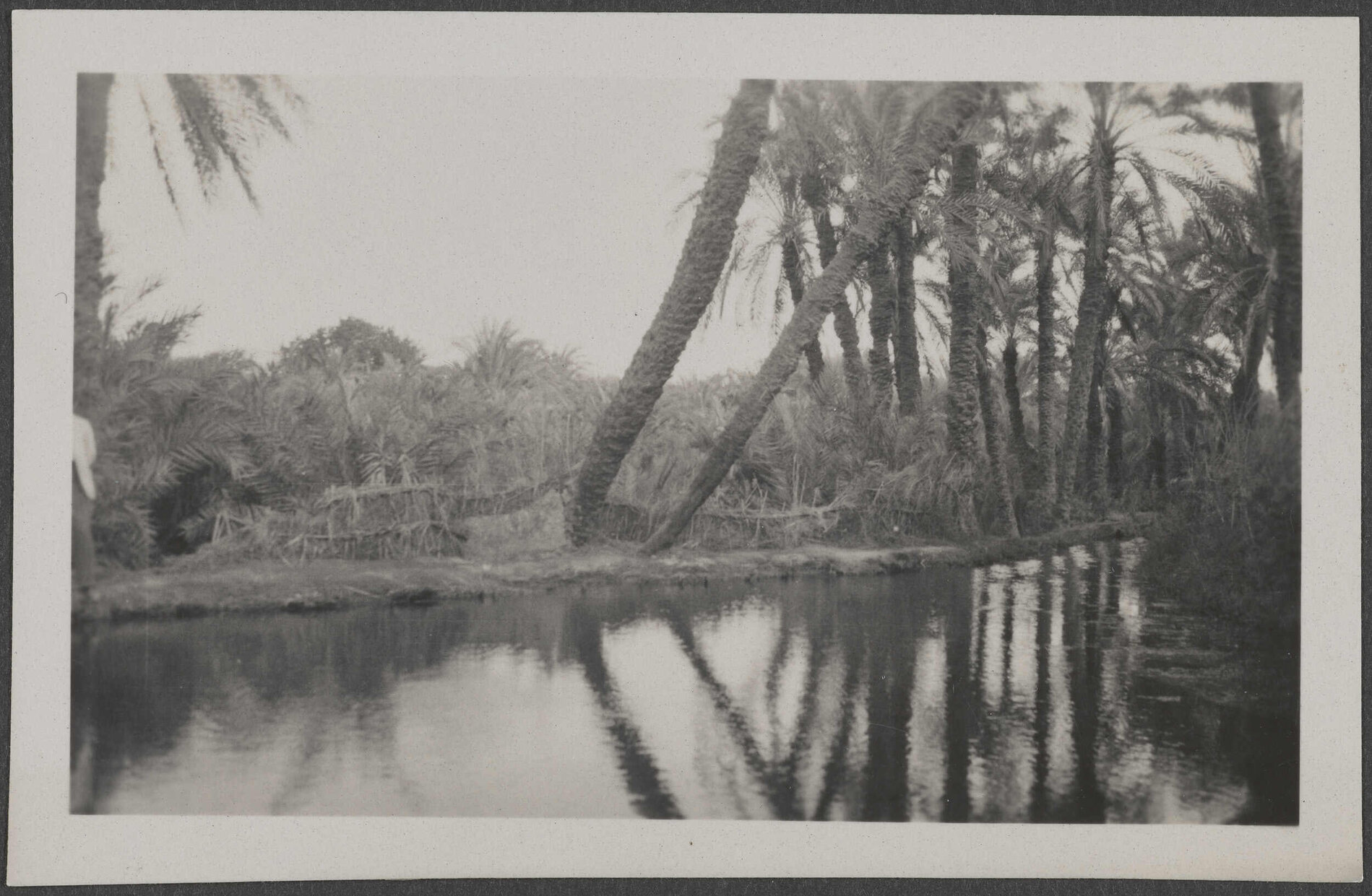 The Spring at Kharga