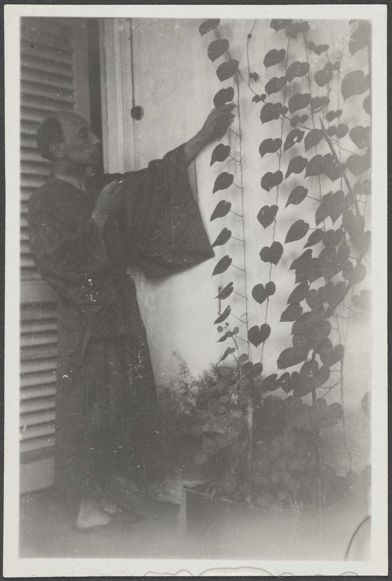 'I really mean it. Ivan S.' [Ivan Seltzer]