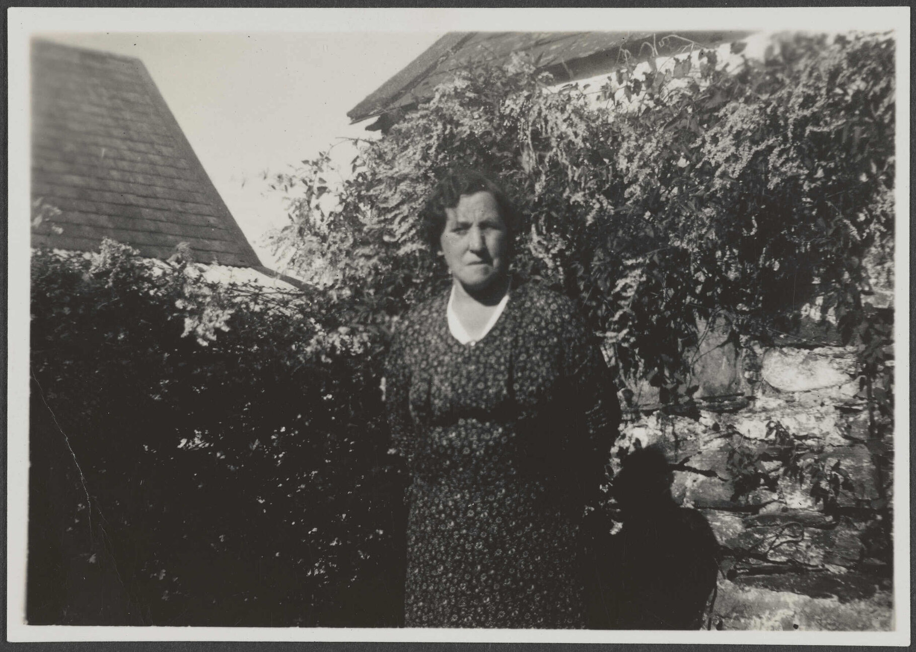 'Nurse Welpley. Lak?? In Ireland'