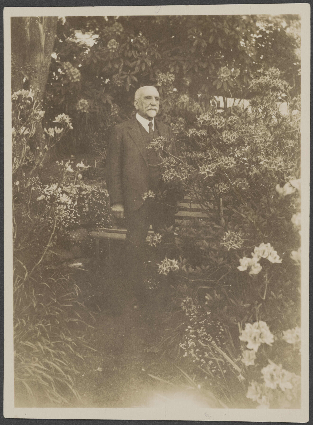 'W. Fels among the azaleas, Manono'