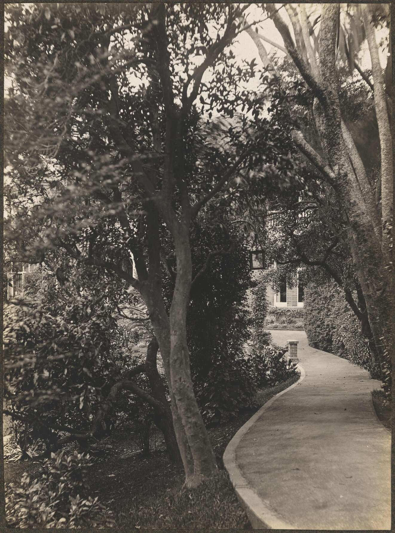 Manono, drive to front door