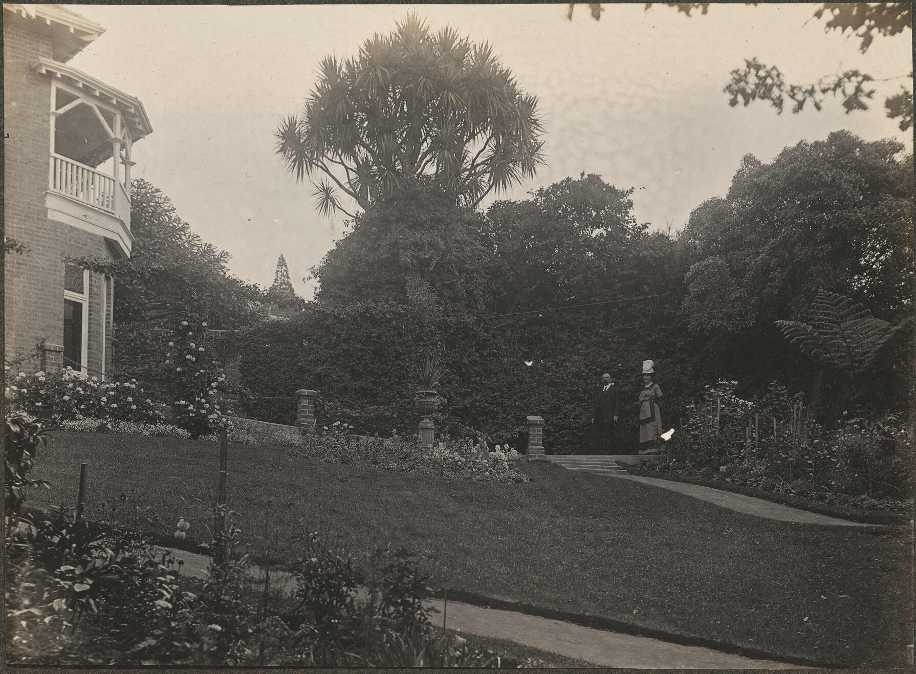 Front garden of Manono, looking up towards house