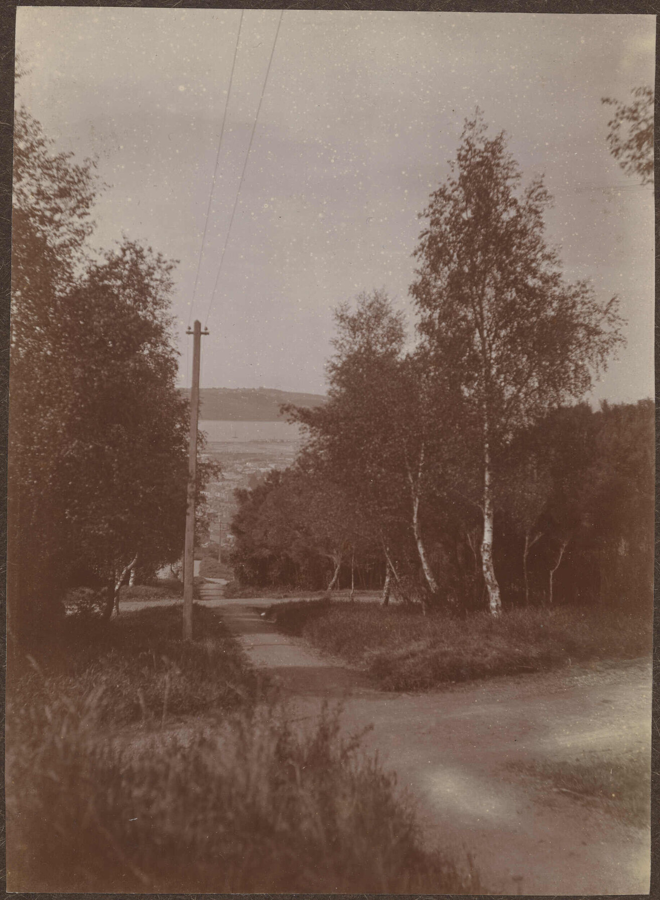 Looking down road, overlooking Dunedin