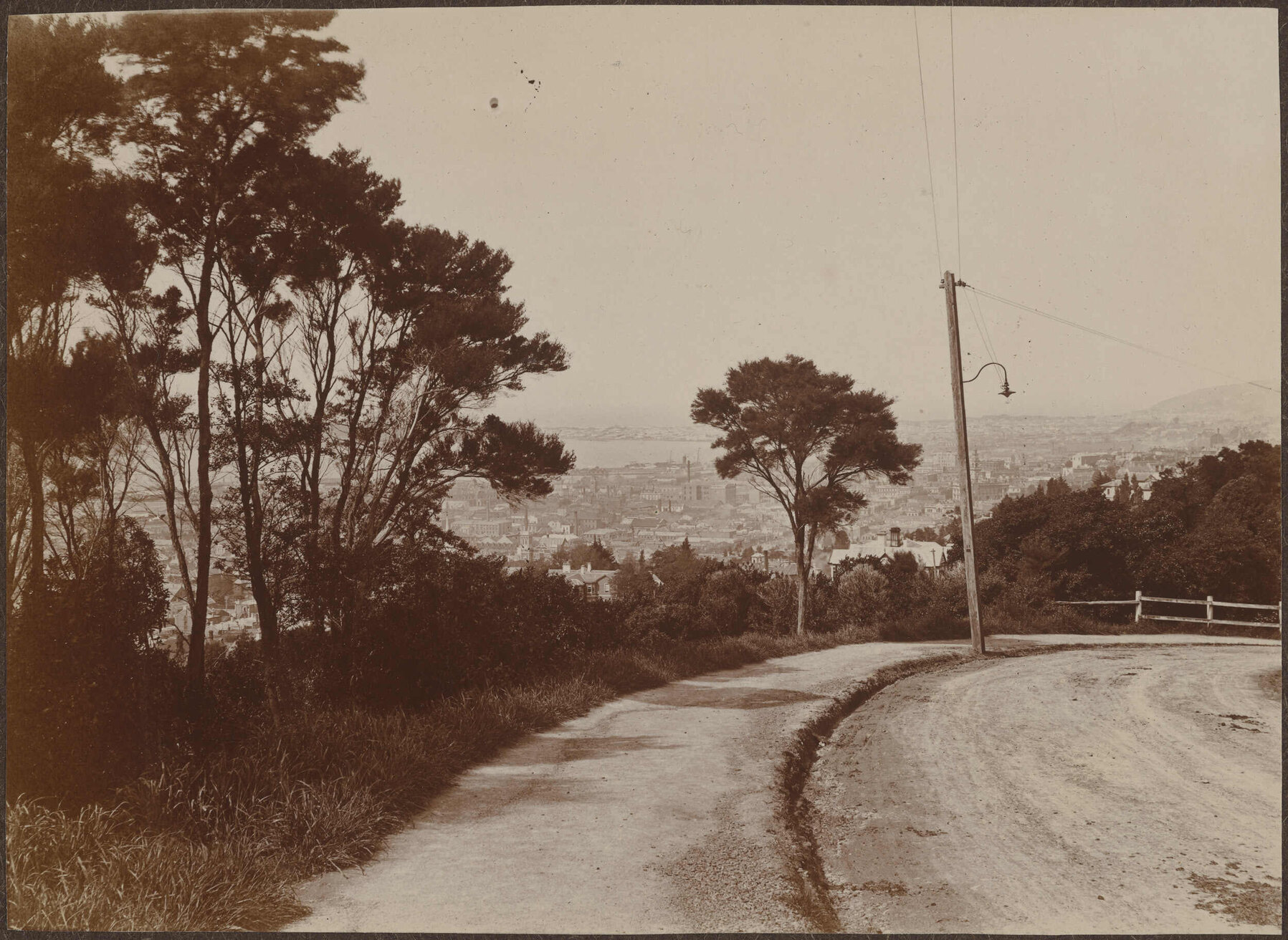 Dunedin city