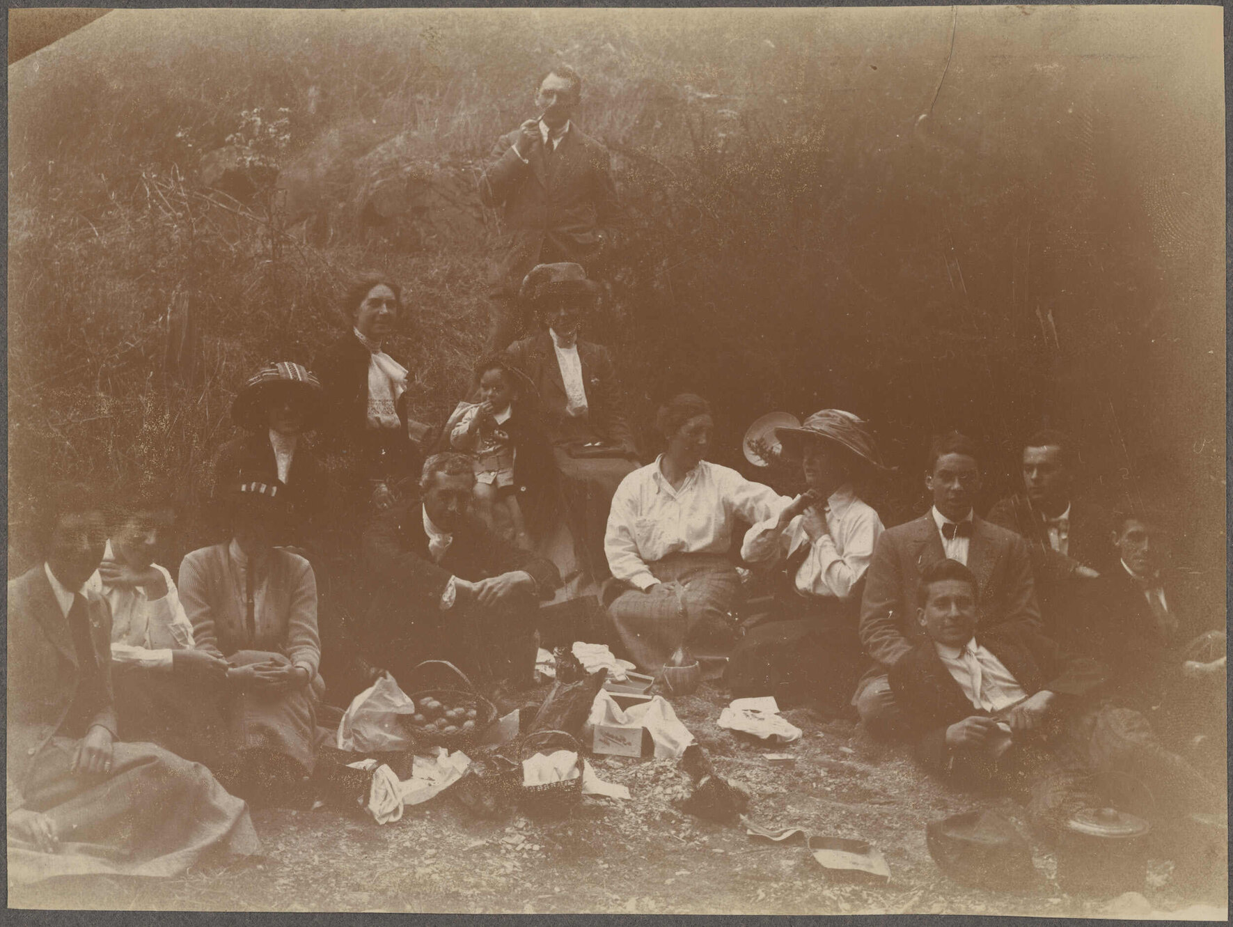 Picnic group