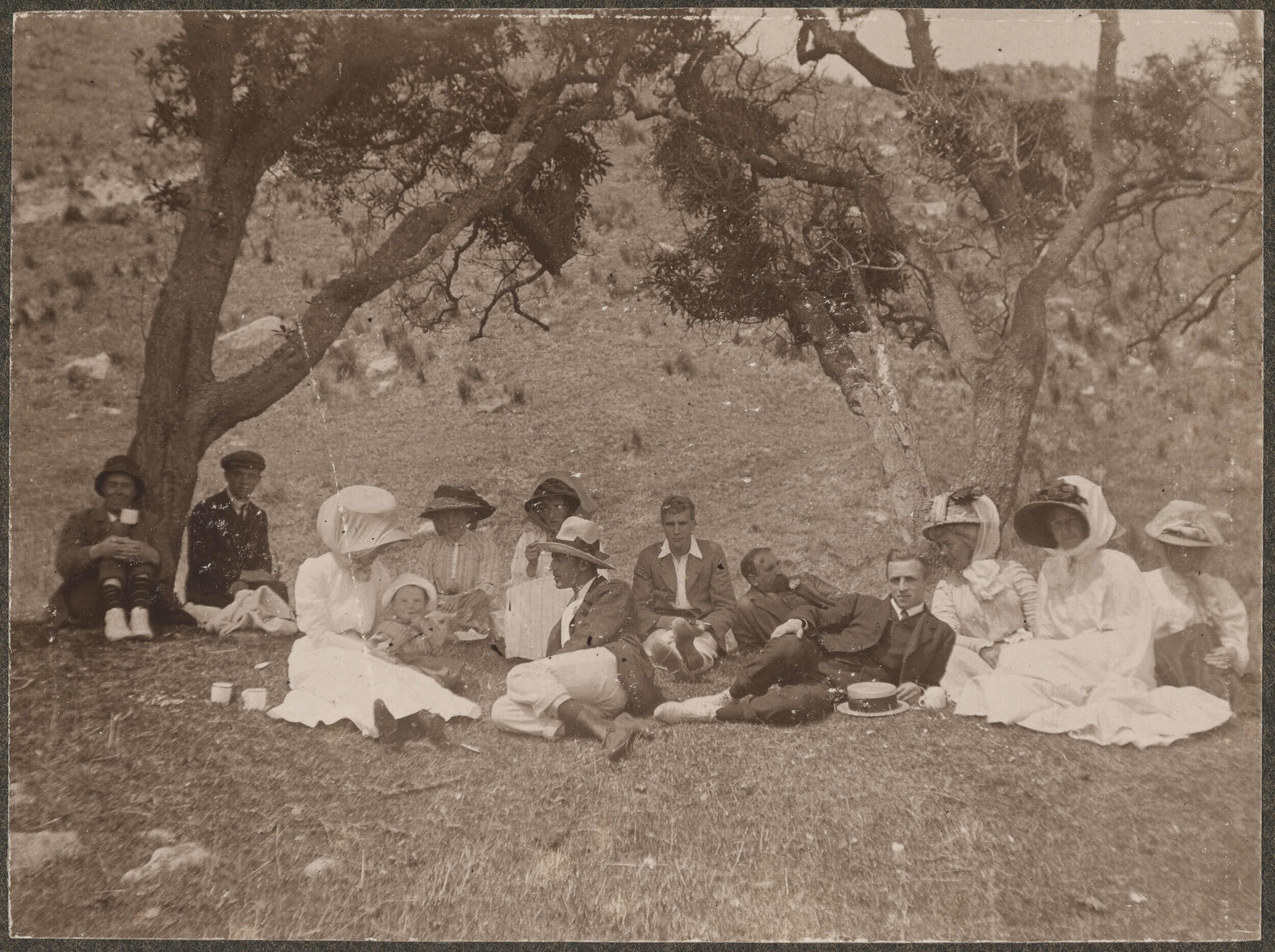 Family picnic under two large trees