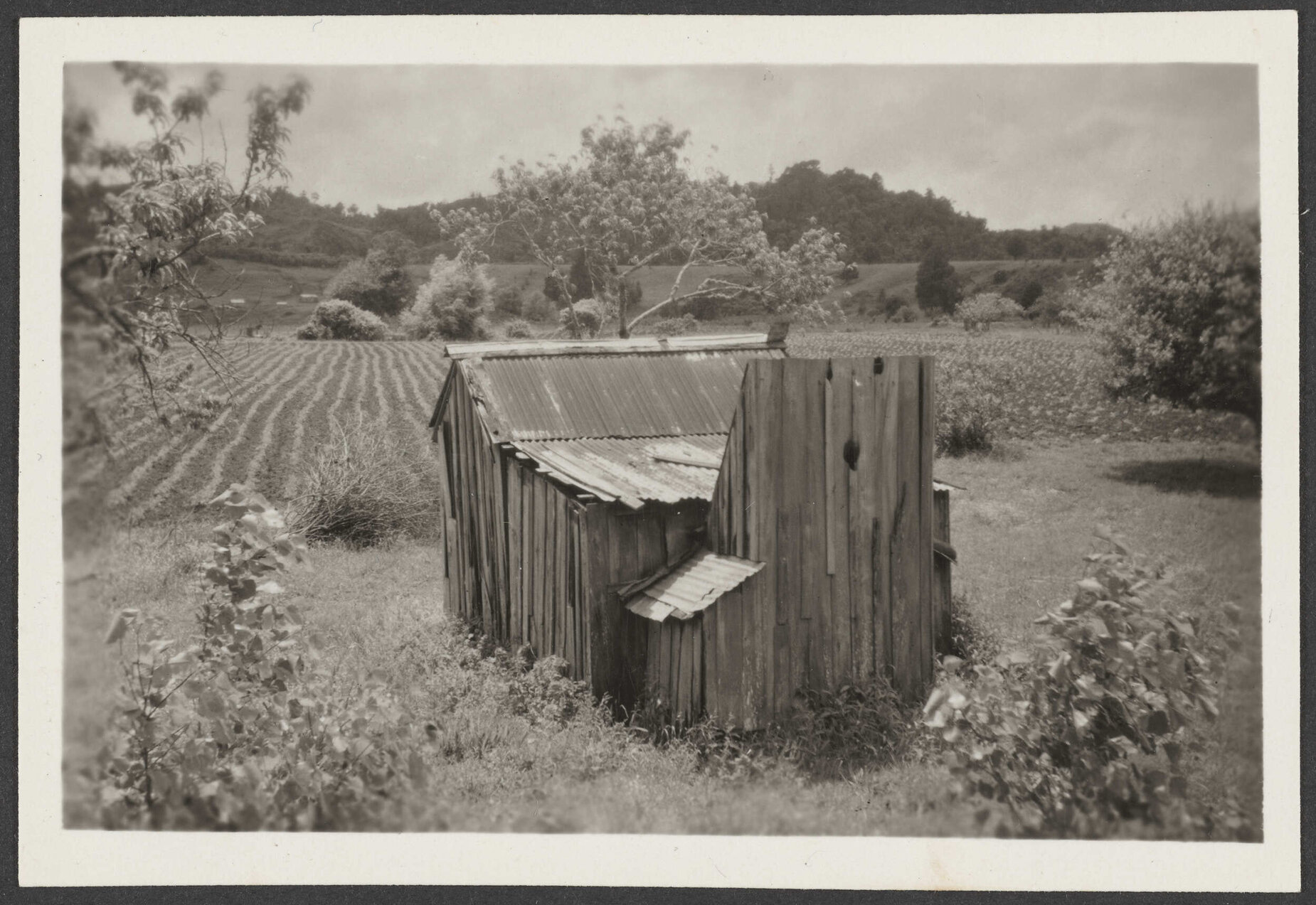 Mangamuka Settlement Gardens