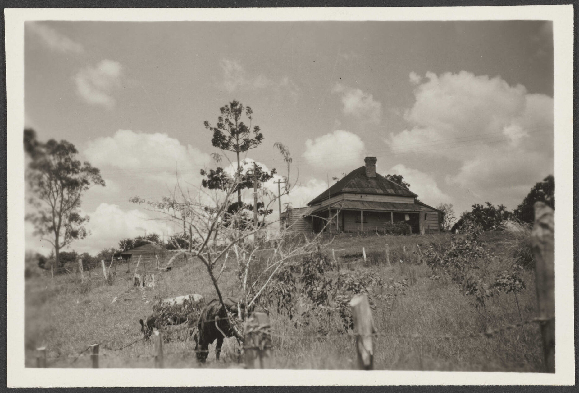 House at Taheke, Māori settlement