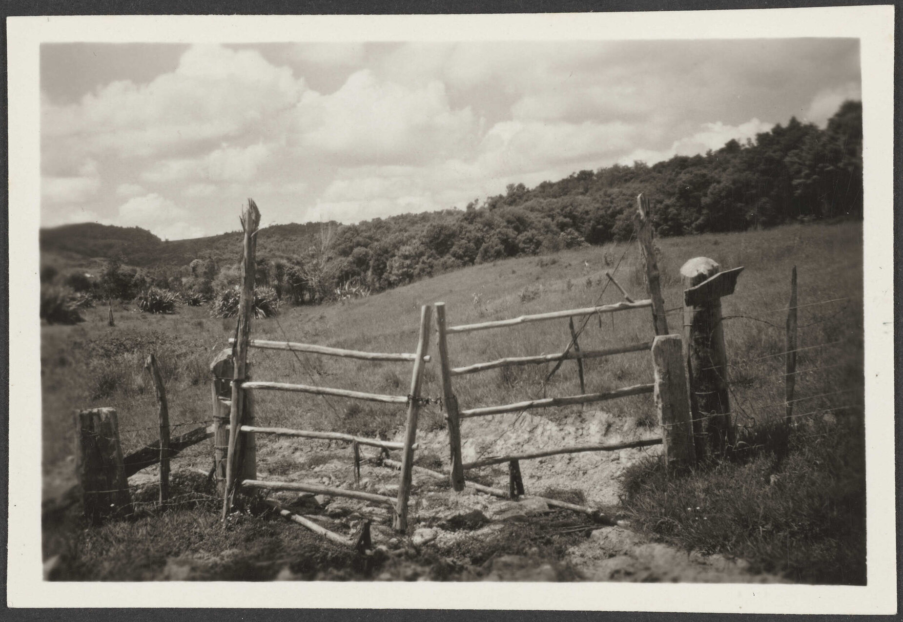  Taheke, Hokianga, farm gates - pegged wood