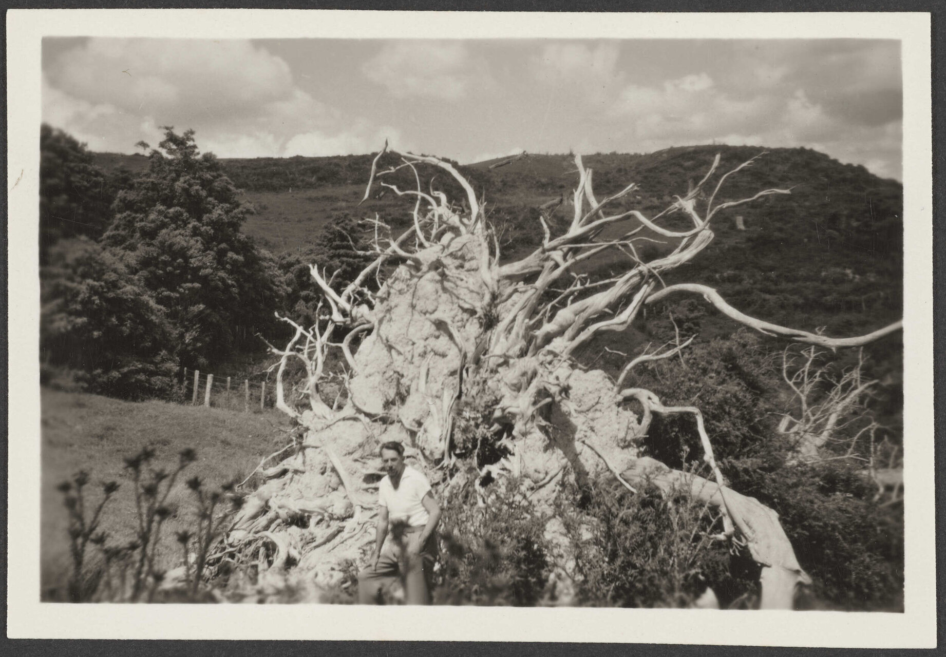 Unknown man in front of a tree