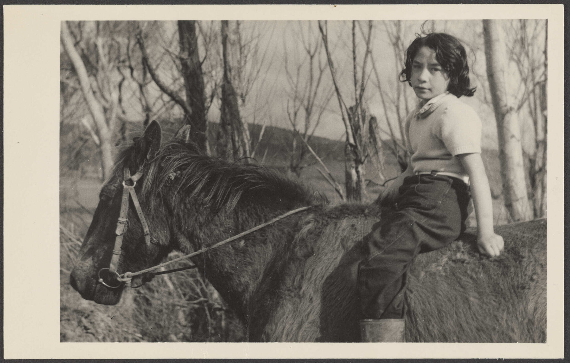 Unidentified child on a horse 