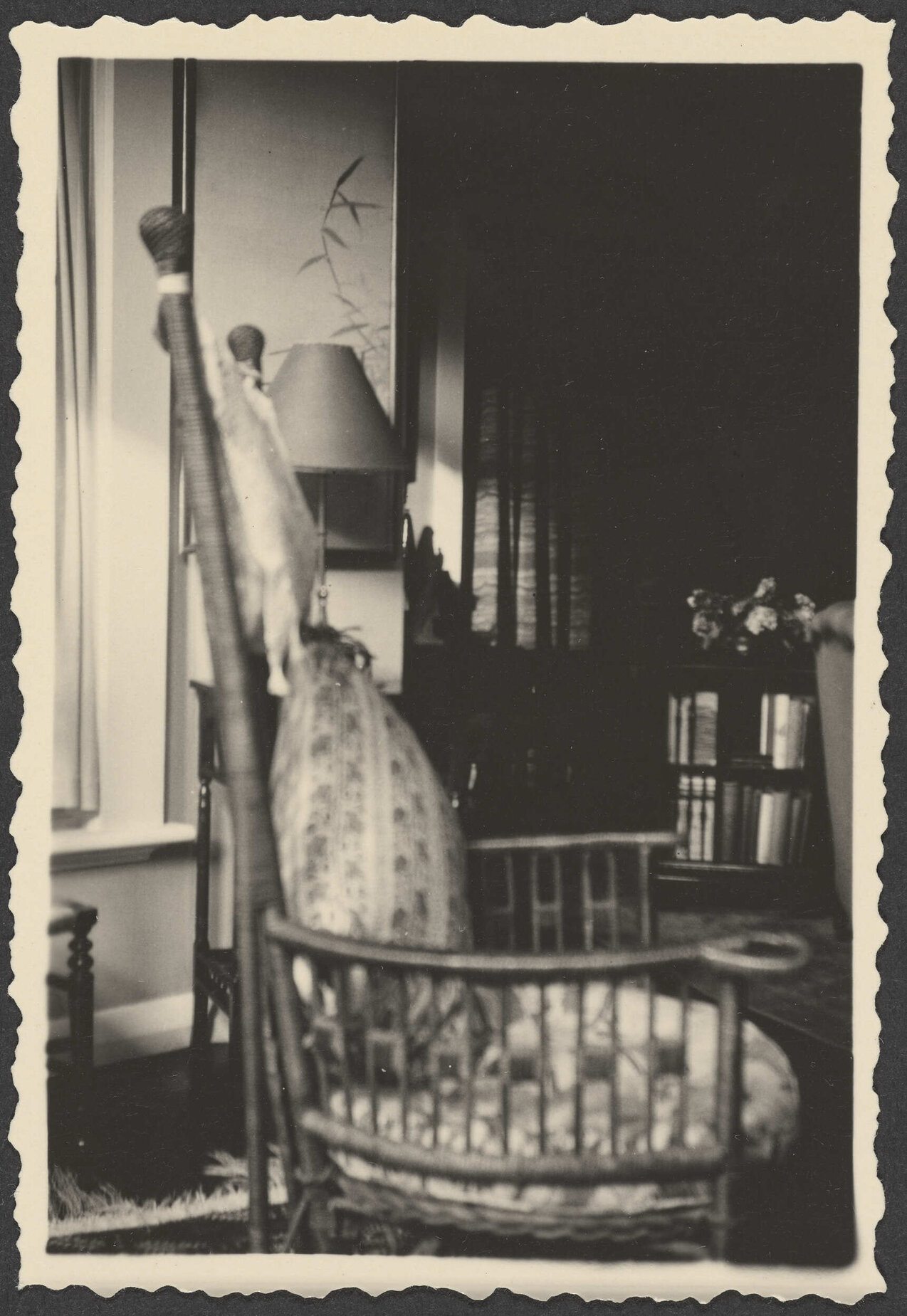 Chair in the interior of Manono