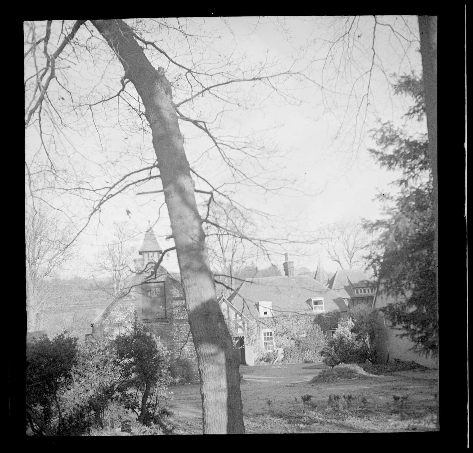 Buildings [at Abbey School] with tree in foreground
