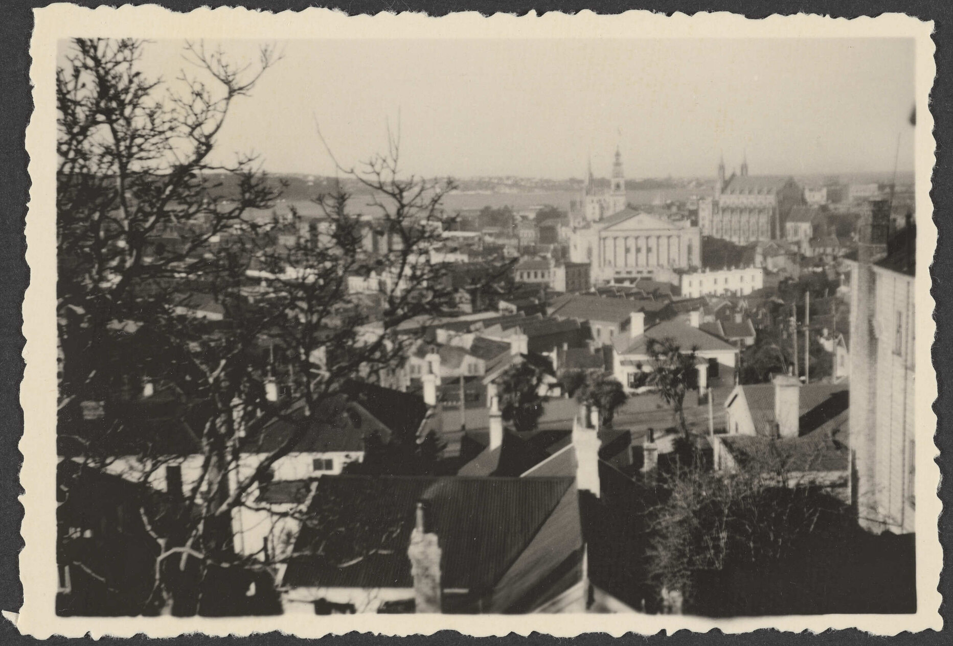 View of Dunedin from Manono
