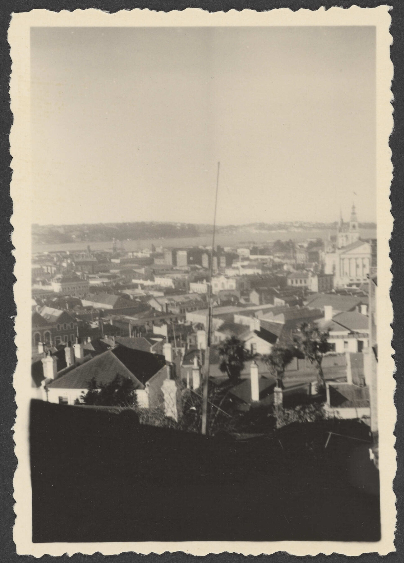 View of Dunedin from Manono