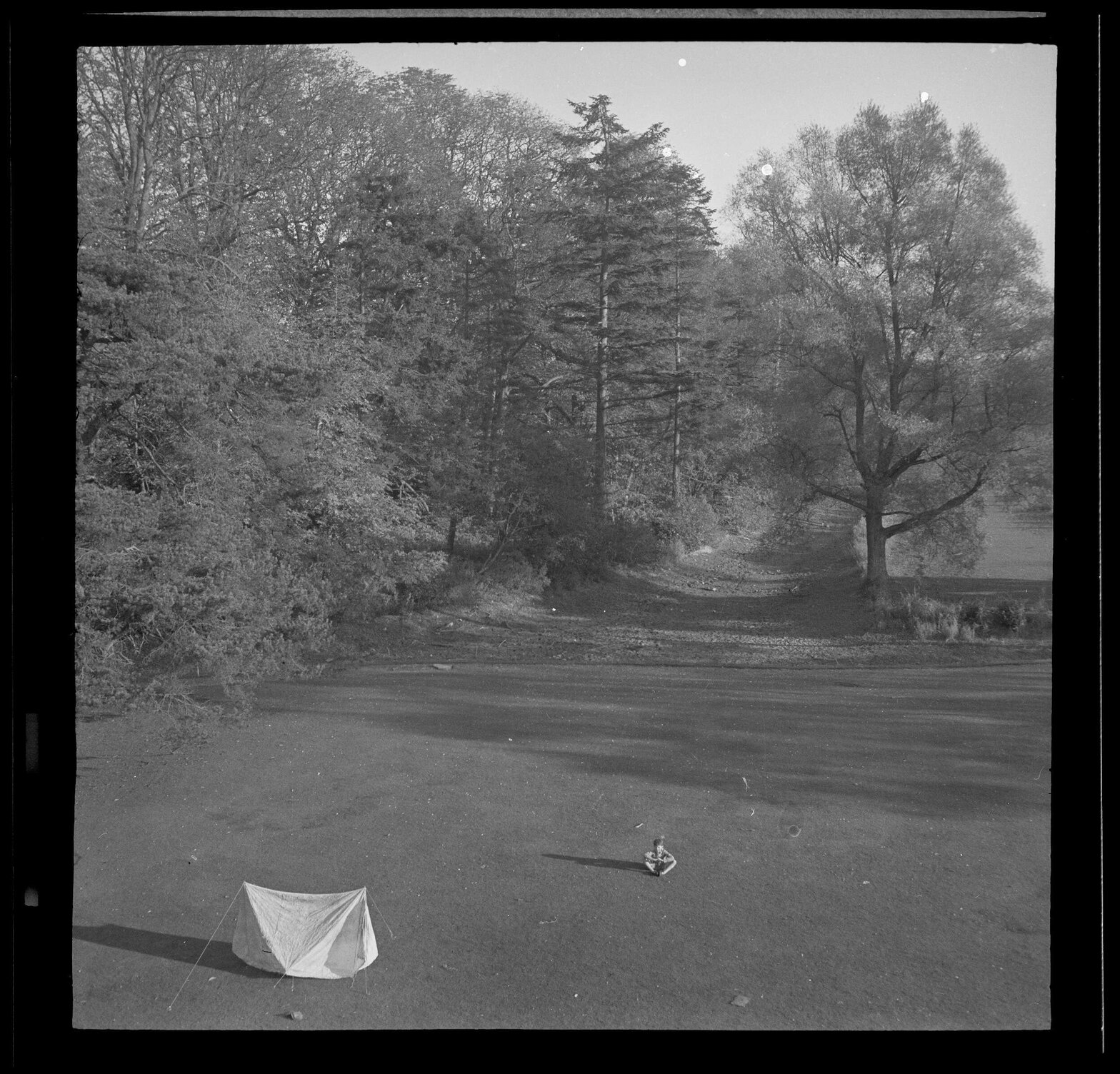 View to trees over lawn, with tent and boy