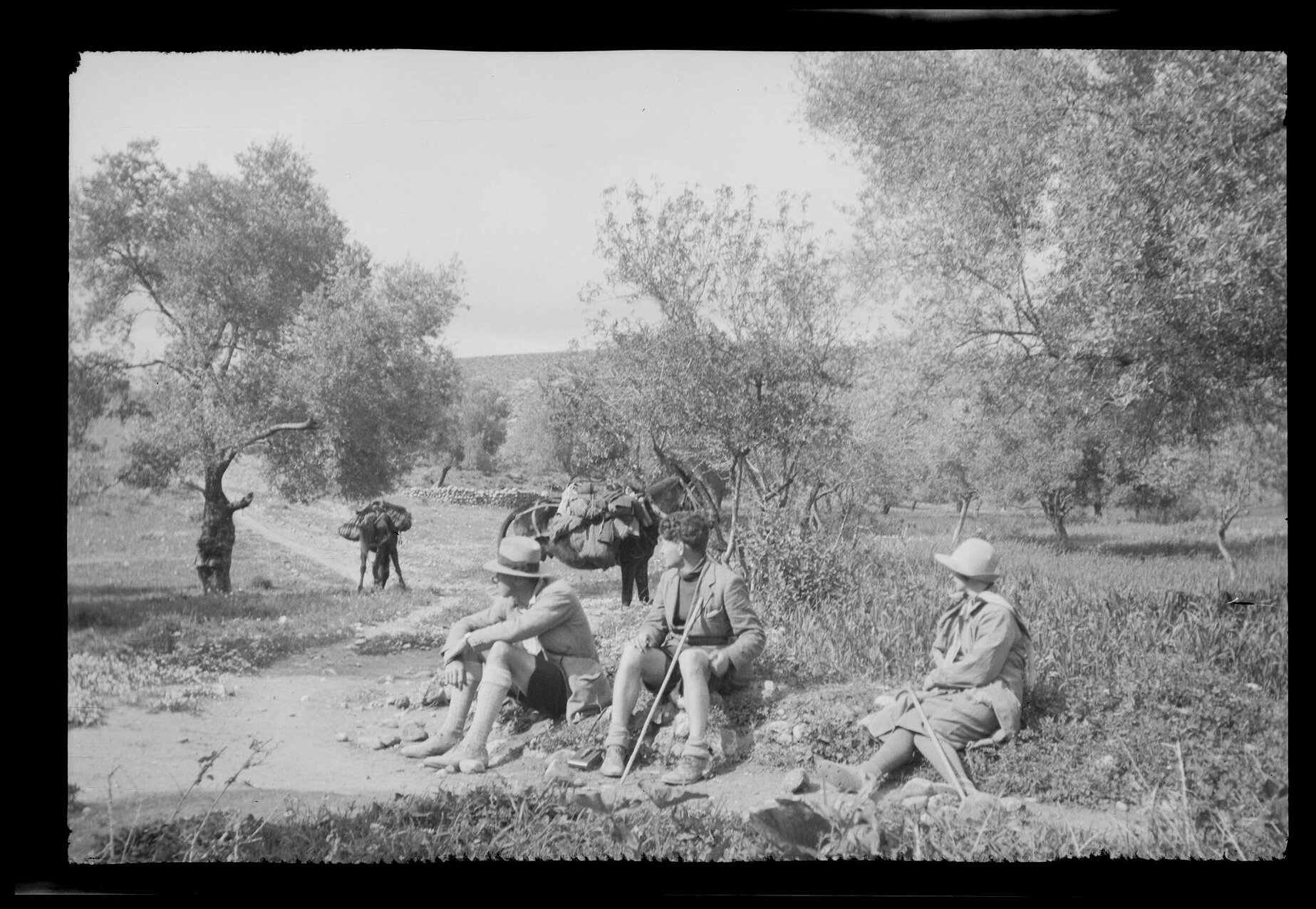 Three people and laden mules [?] on rural road