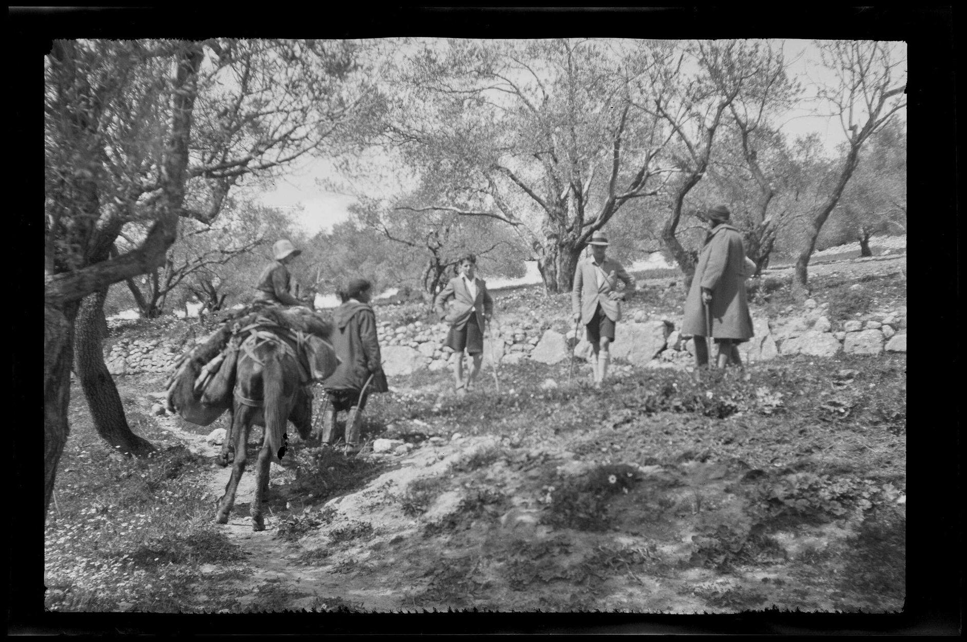 Group of people with laden mule [?] among trees