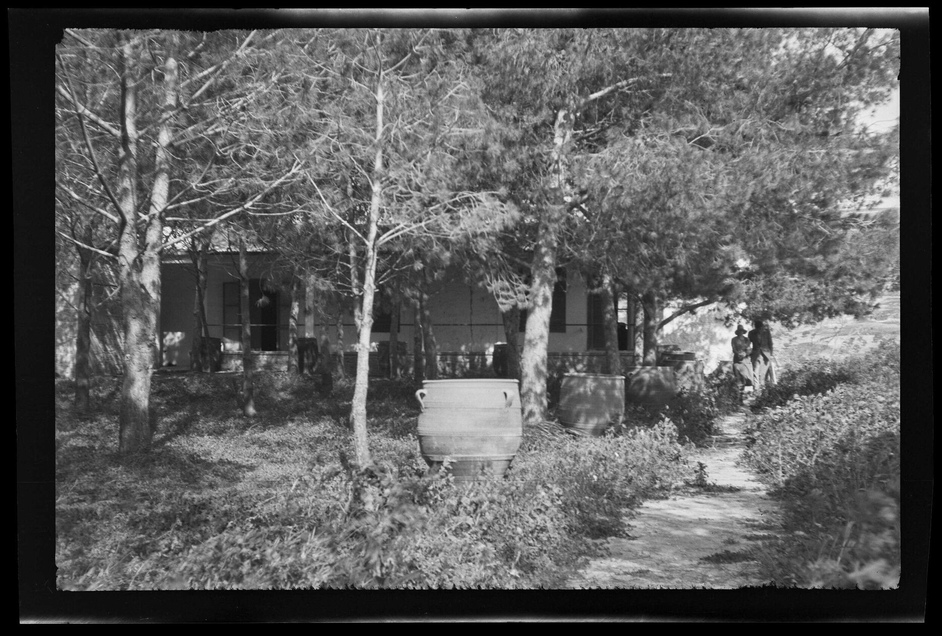 Large urns and trees in front of buildings