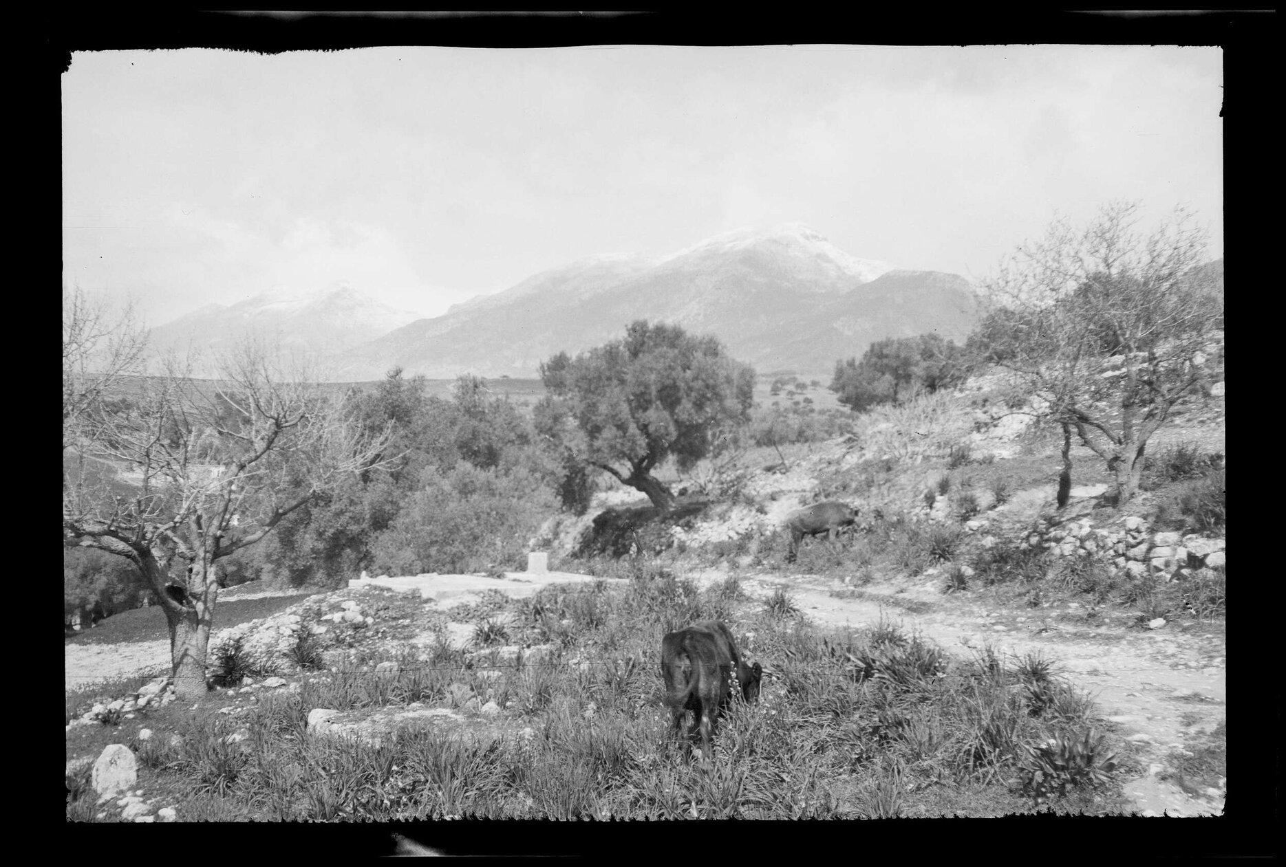 Rural road with mountains in background