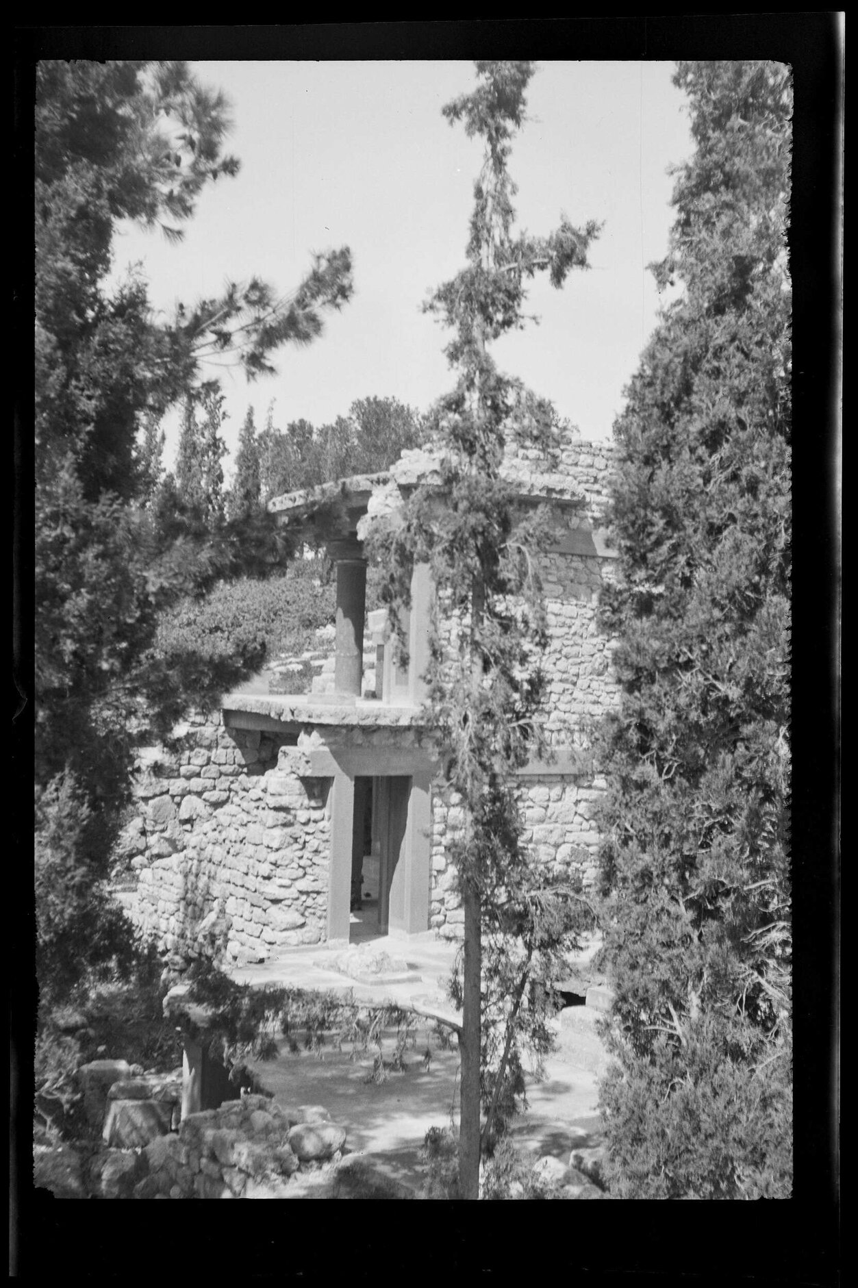 Ruined buildings through trees
