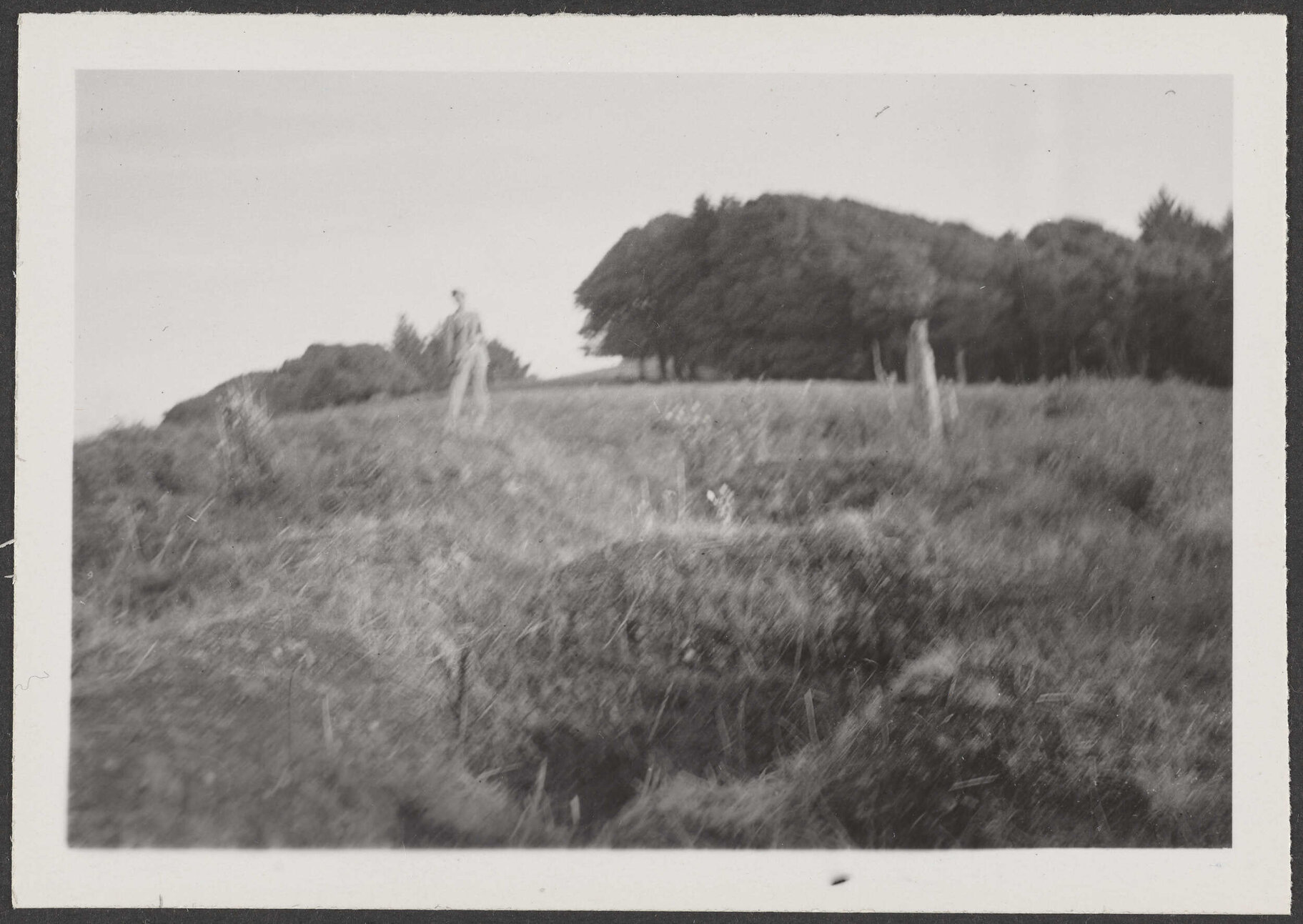 'Believe it or not  - the fence-post on the left is Charles Brasch!'