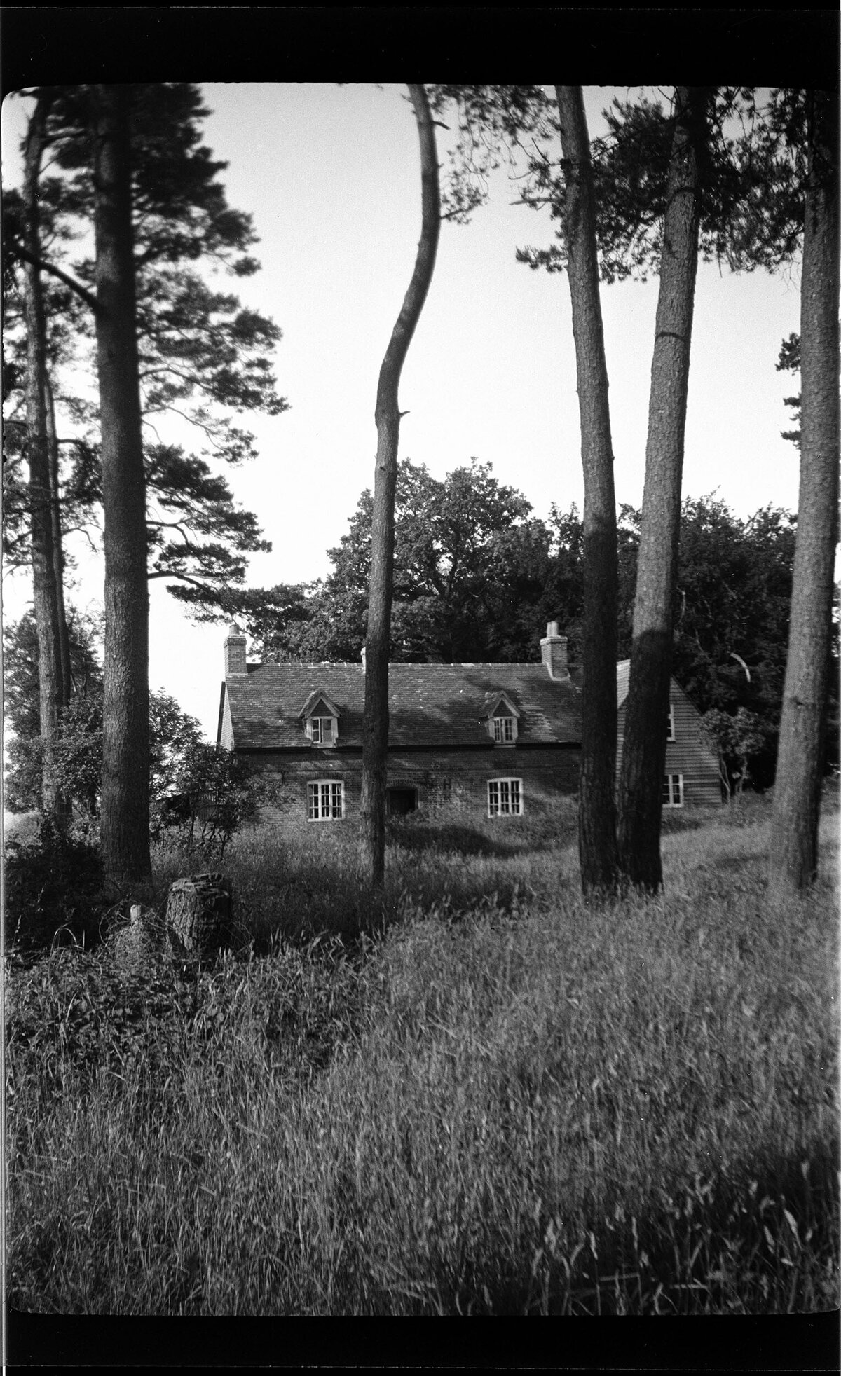 Bishop's Barn, seen through trees