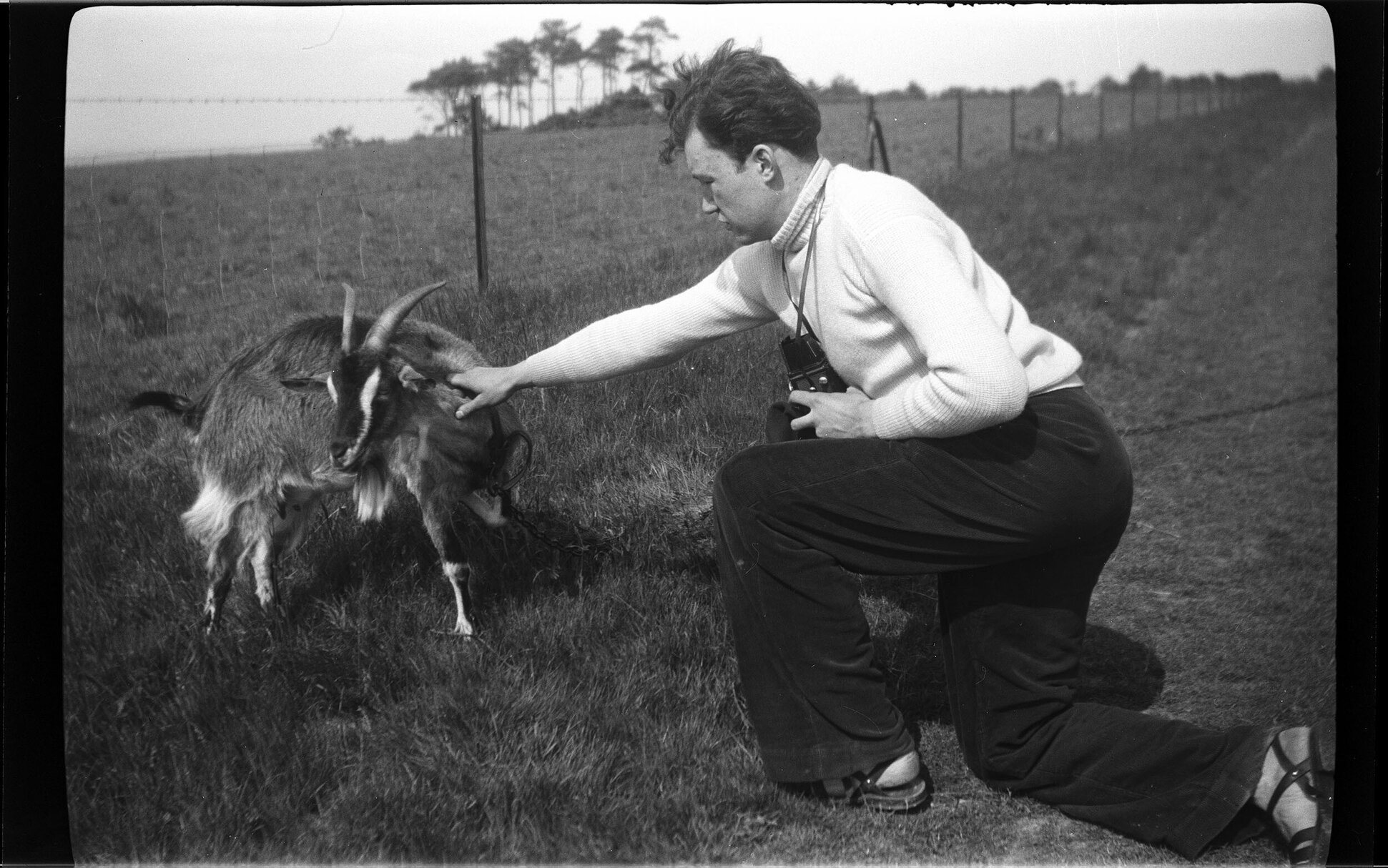 Man with camera and goat, in a rural setting