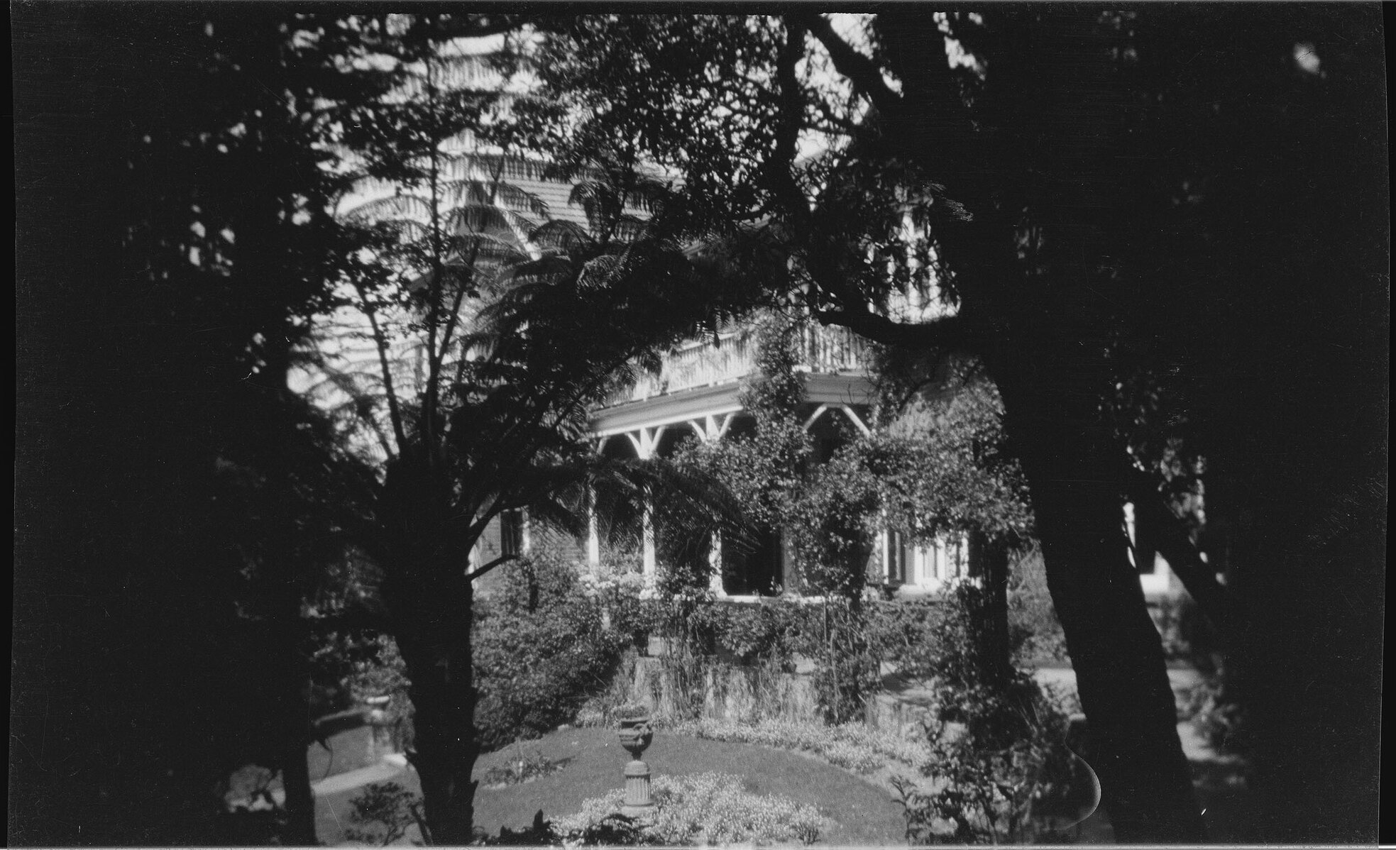 Manono, looking through ferns and trees to the garden and house