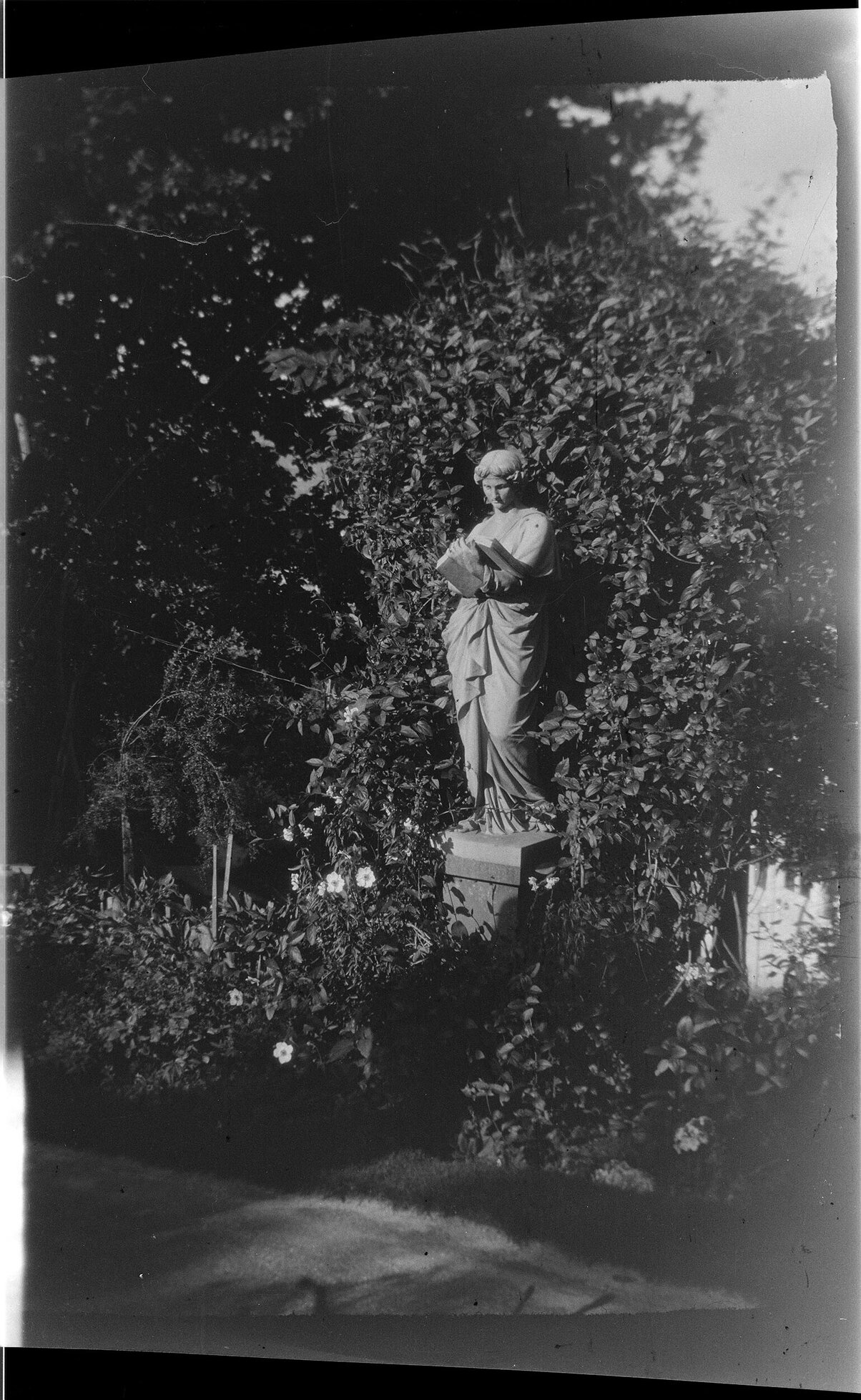 Statue in garden setting