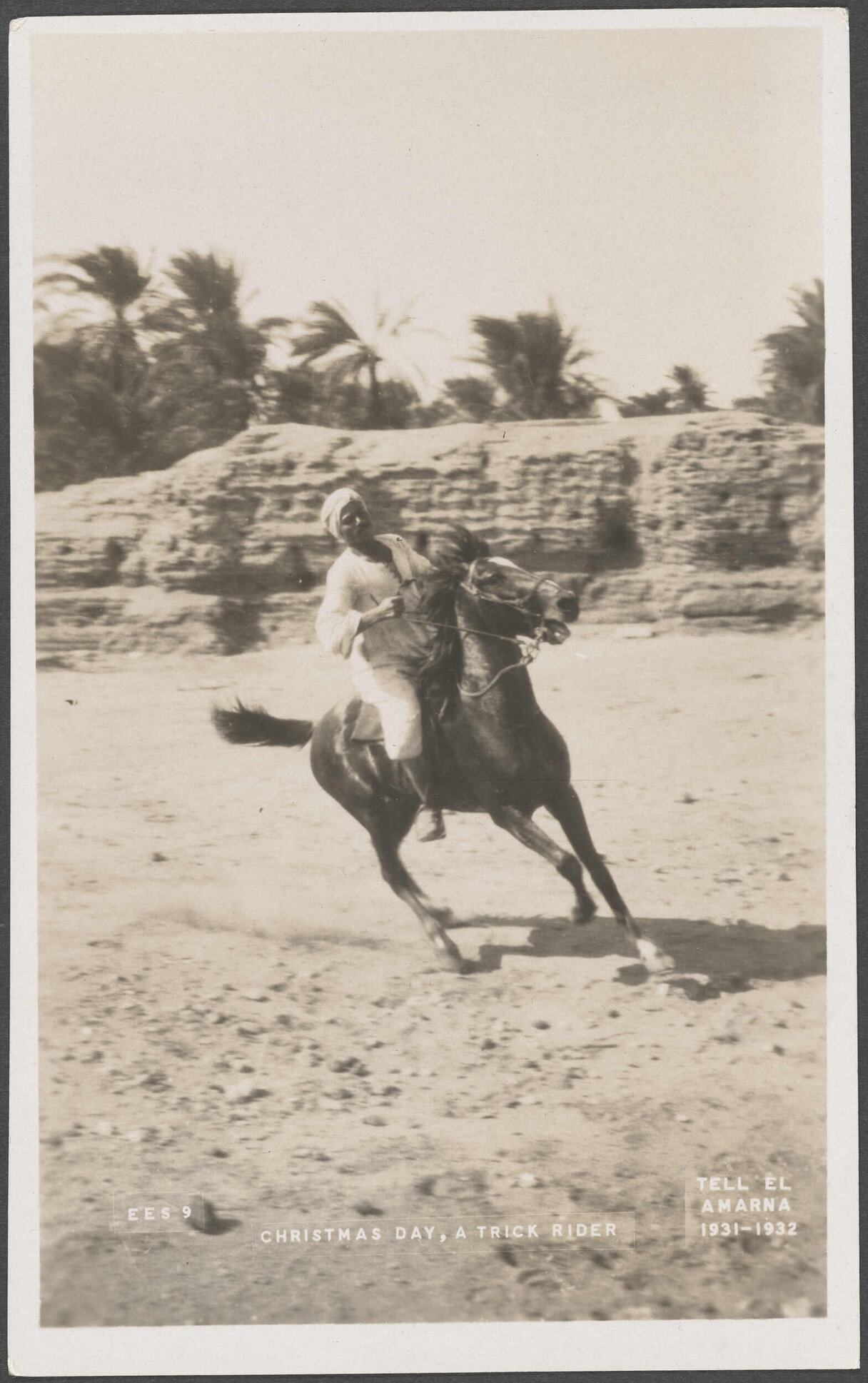 Second part of a postcard from Egypt, from Charles Brasch to family