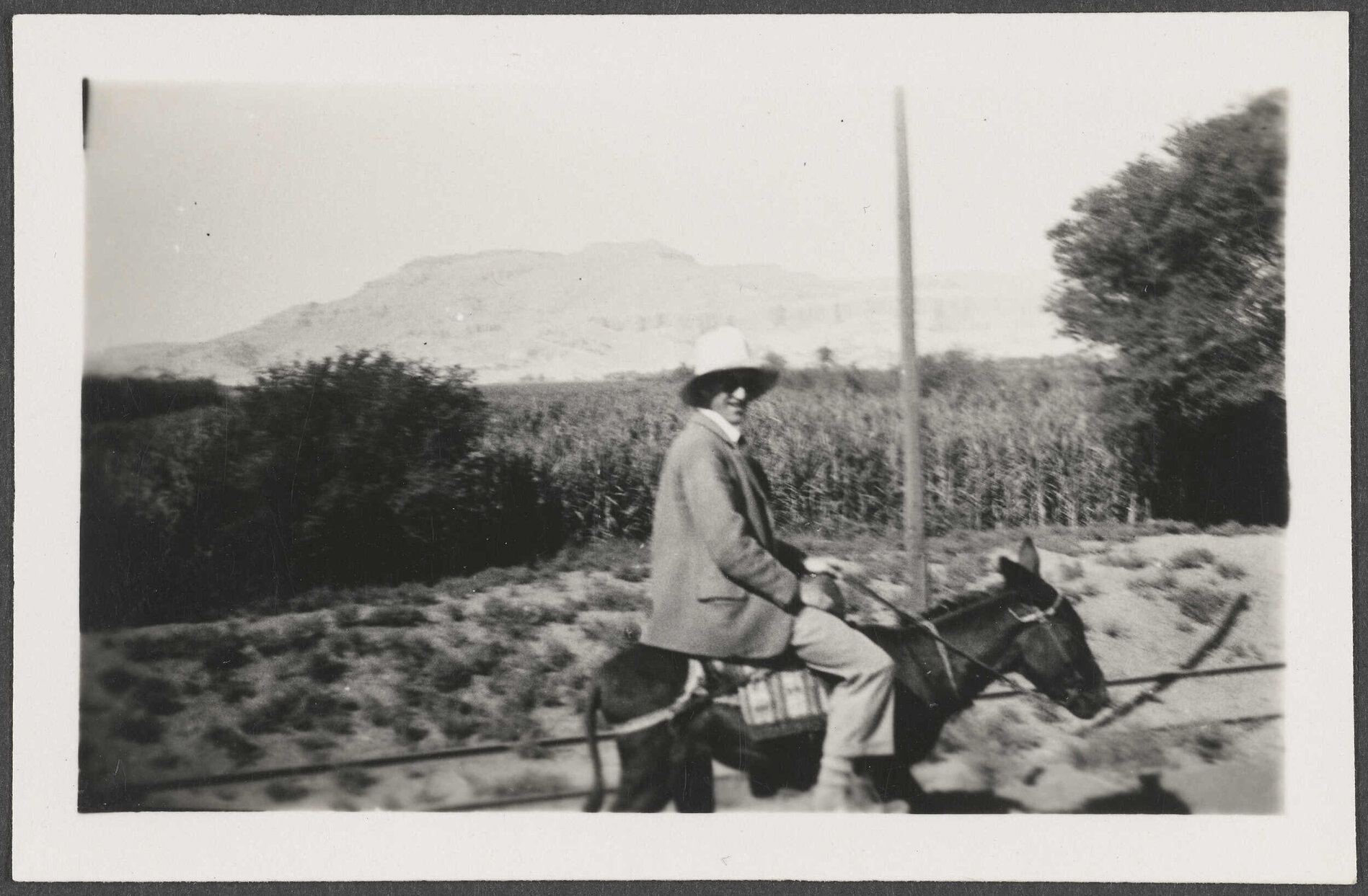 Charles Brasch riding a donkey in the Valley of the Kings