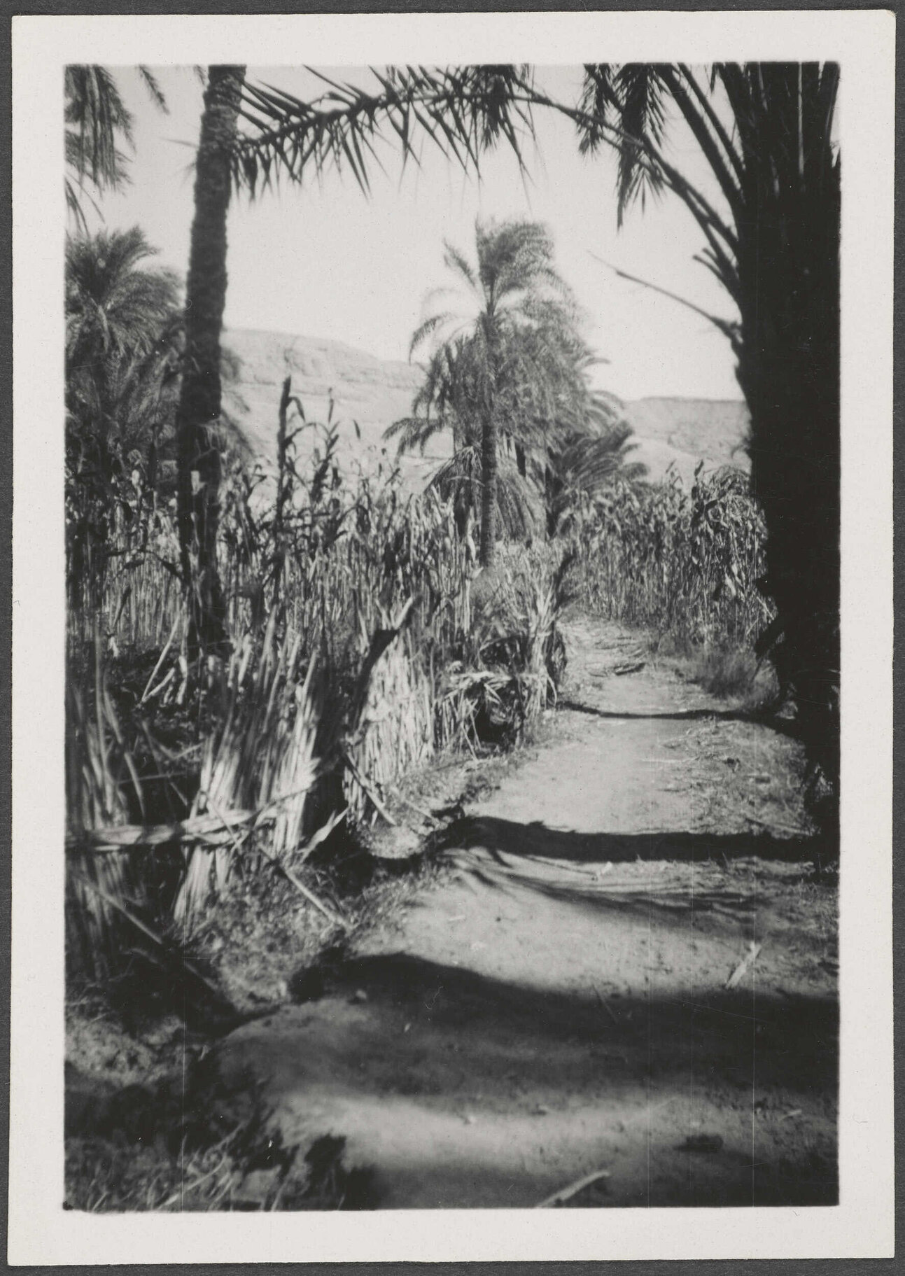 Pathway to North House