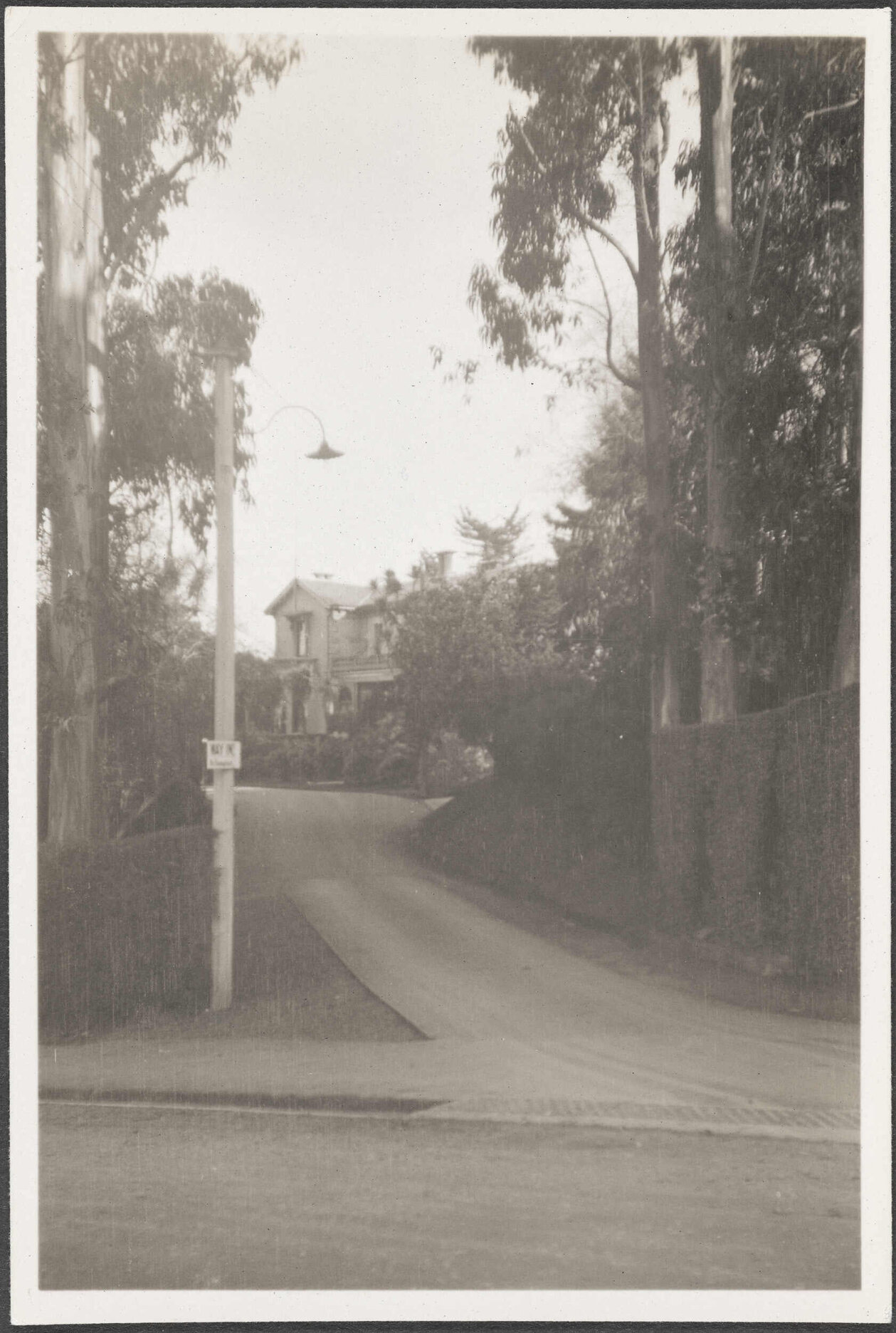 View from road of Fernhill