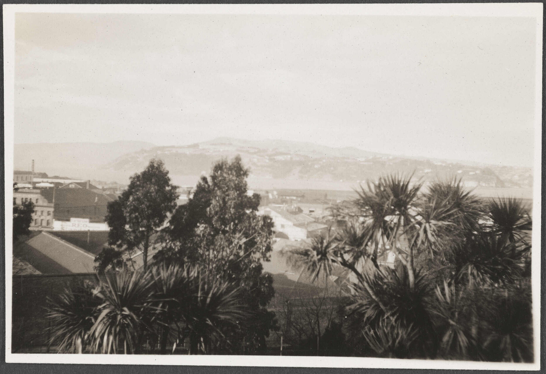 View of Dunedin from Fernhill window