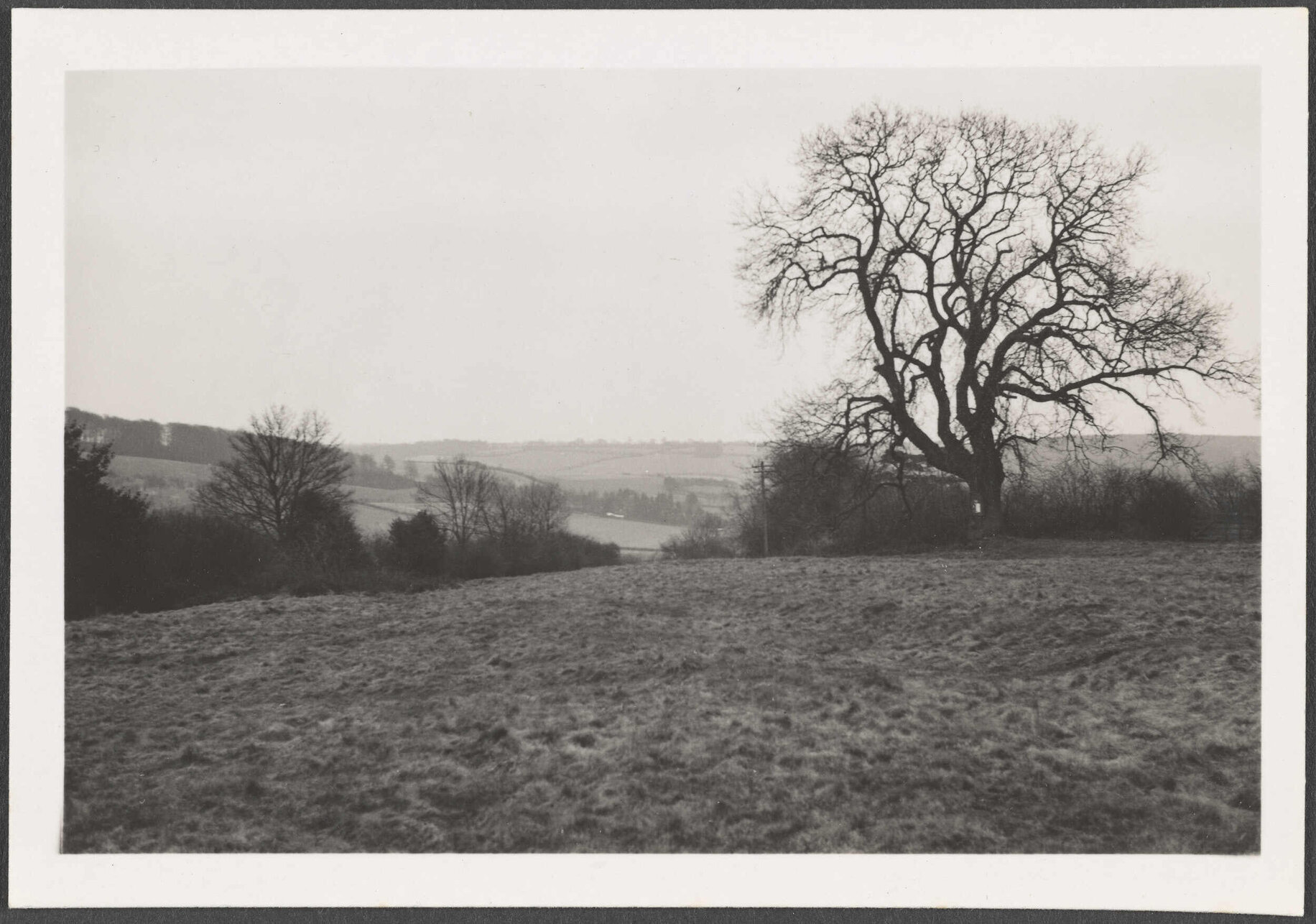 View of Little Hampden Common