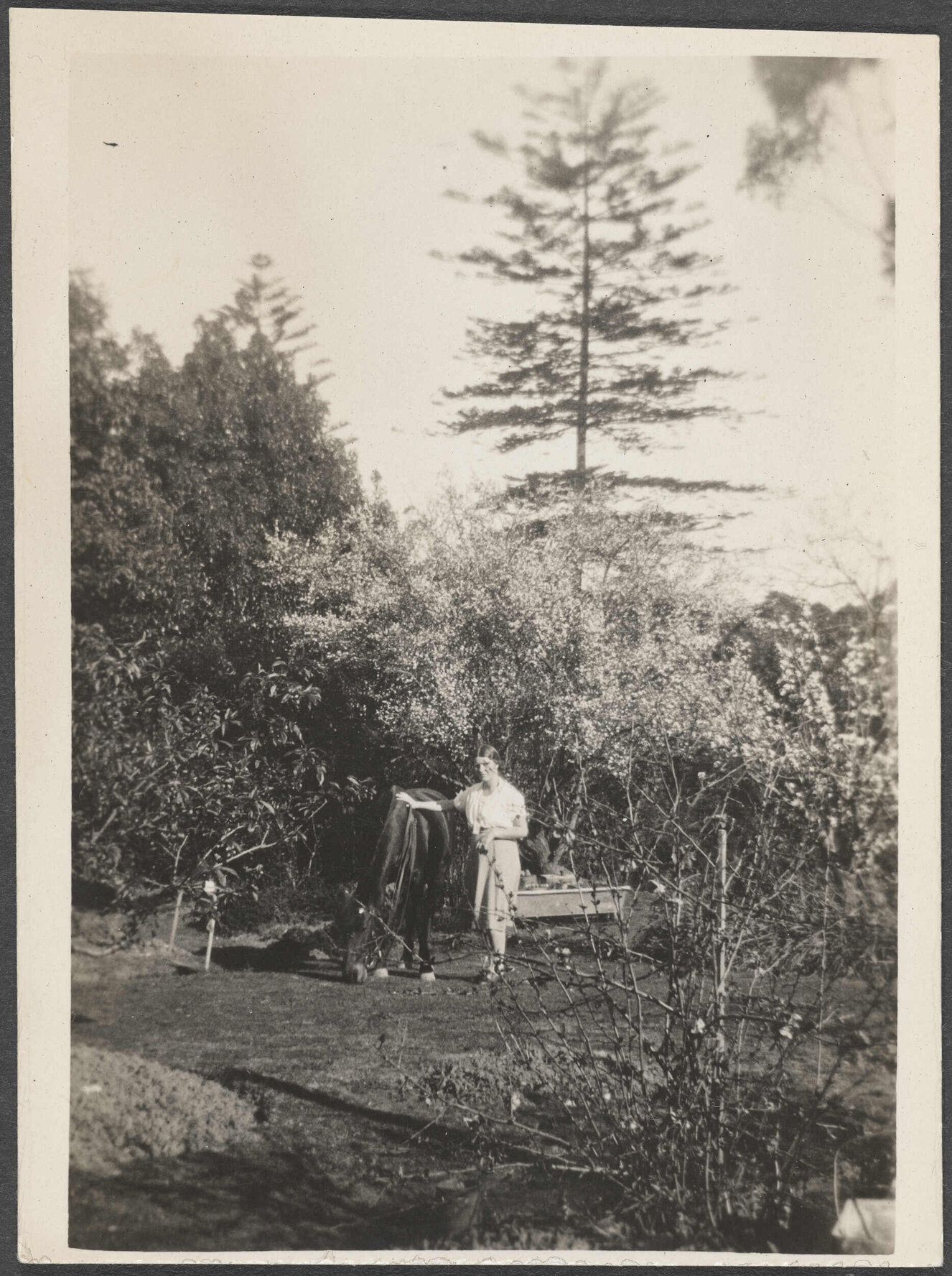 Elespie Prior and a horse in Sydney