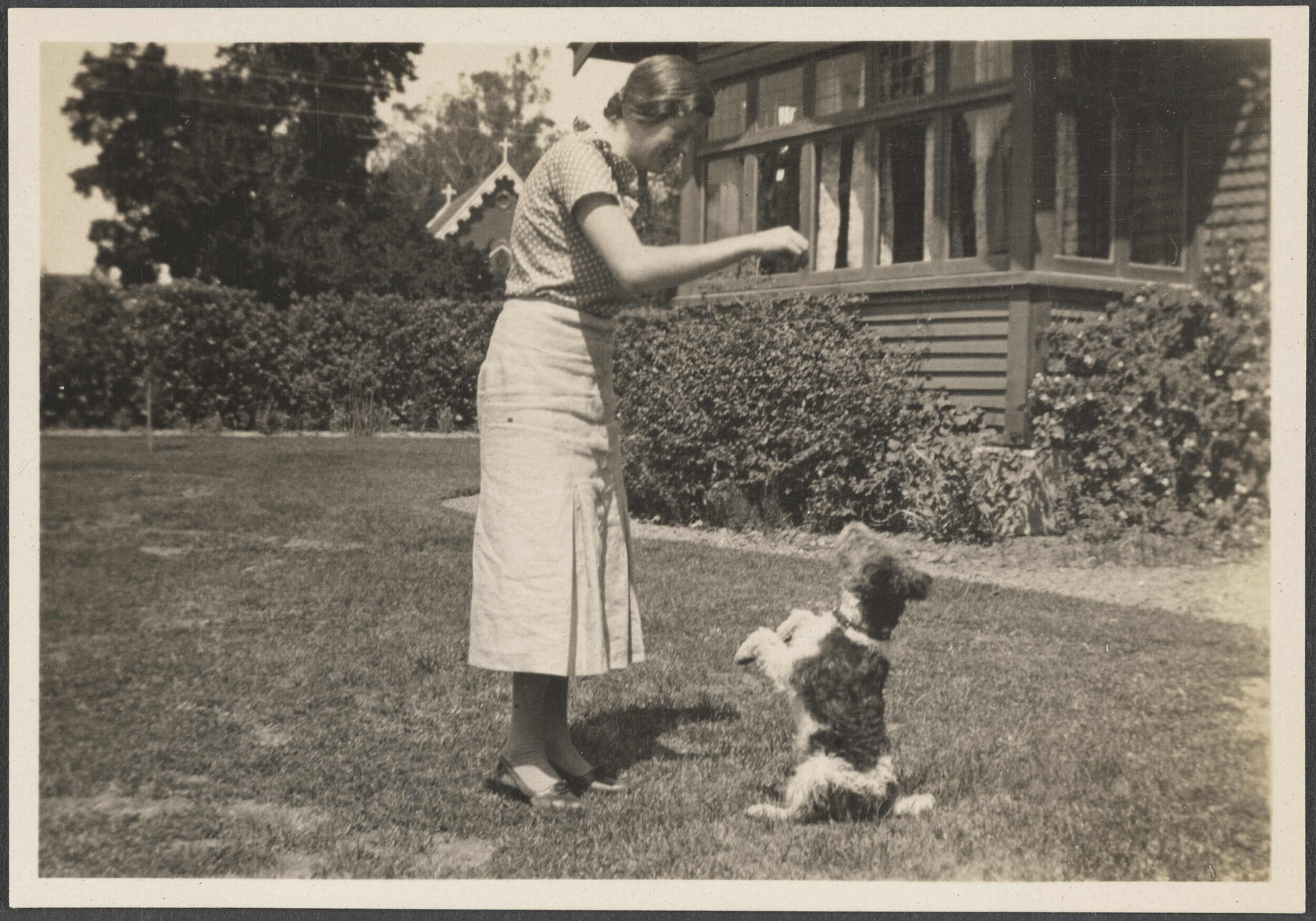 Eunoe Thompson at Amberley