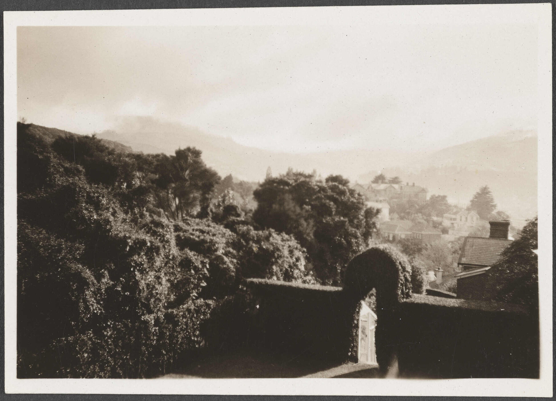 View looking over houses, Dunedin