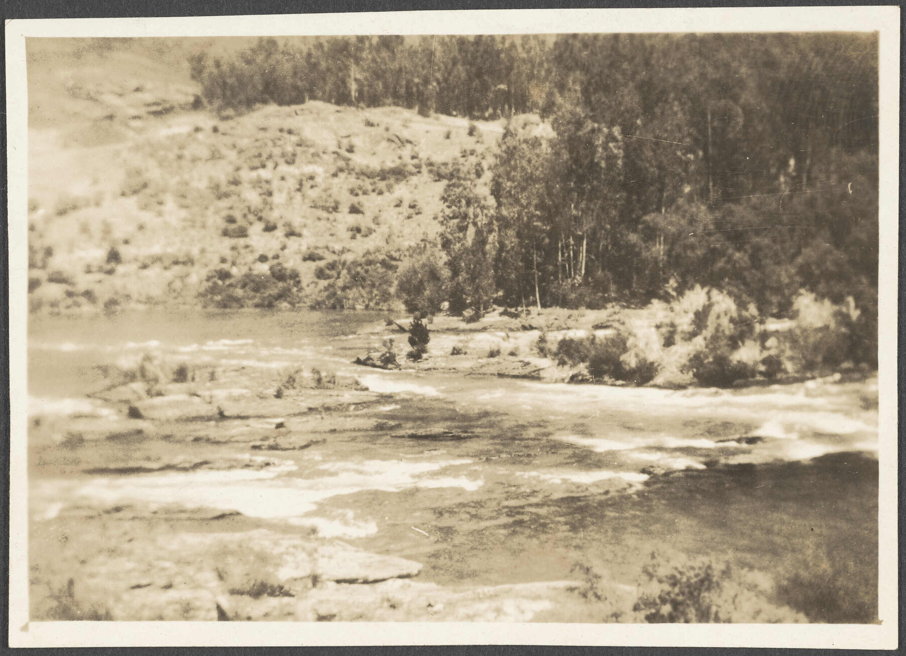 Kawarau Rapids, Frankton, Lake Wakatipu