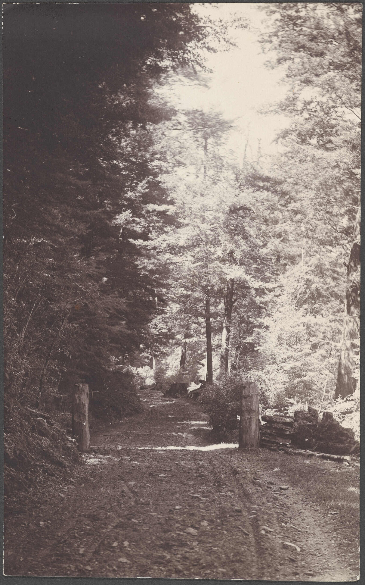 'Heaven's Gate, Reynold's Photo'