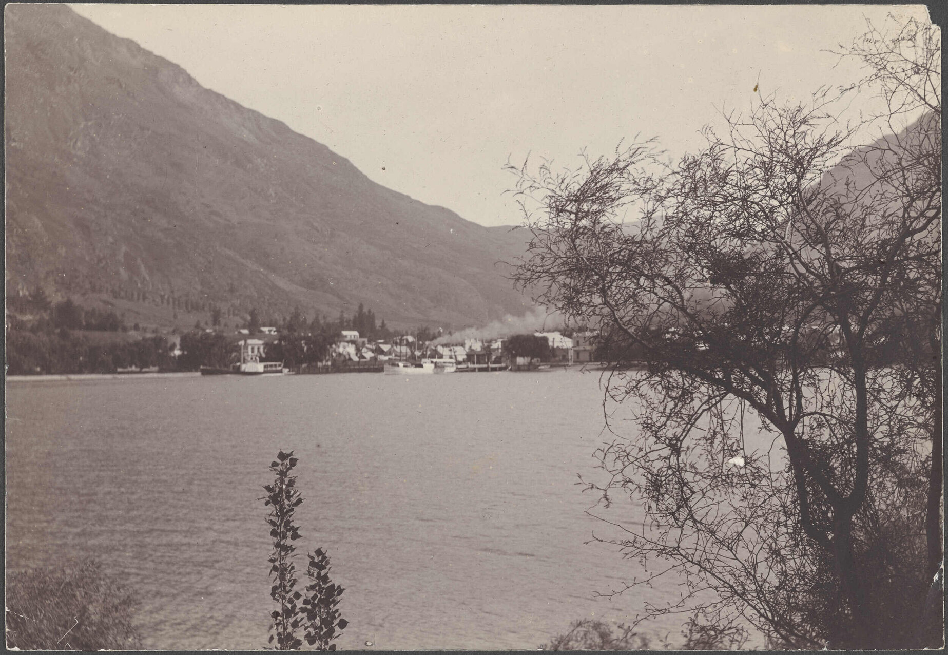 'Queenstown from Domain, Reynold's Photo'